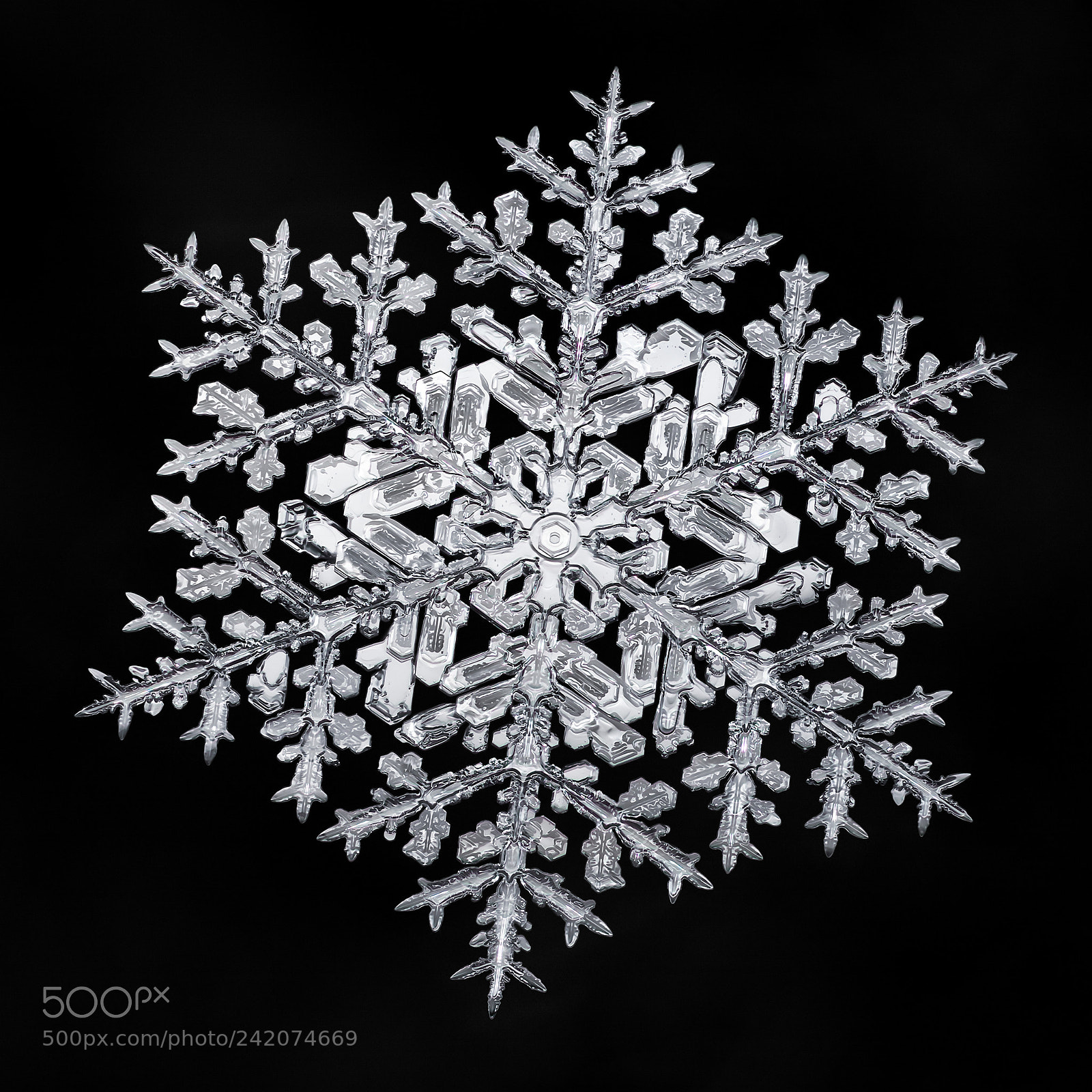 Canon EOS-1D X Mark II sample photo. Snowflake-a-day no. 33 photography