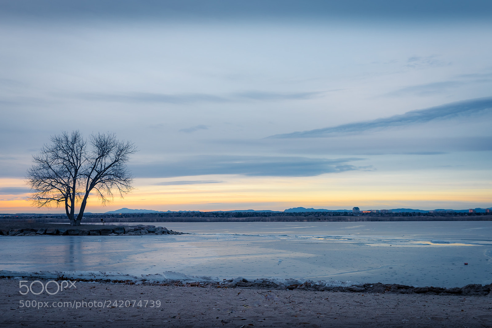 Nikon D810 sample photo. Lone tree on an photography