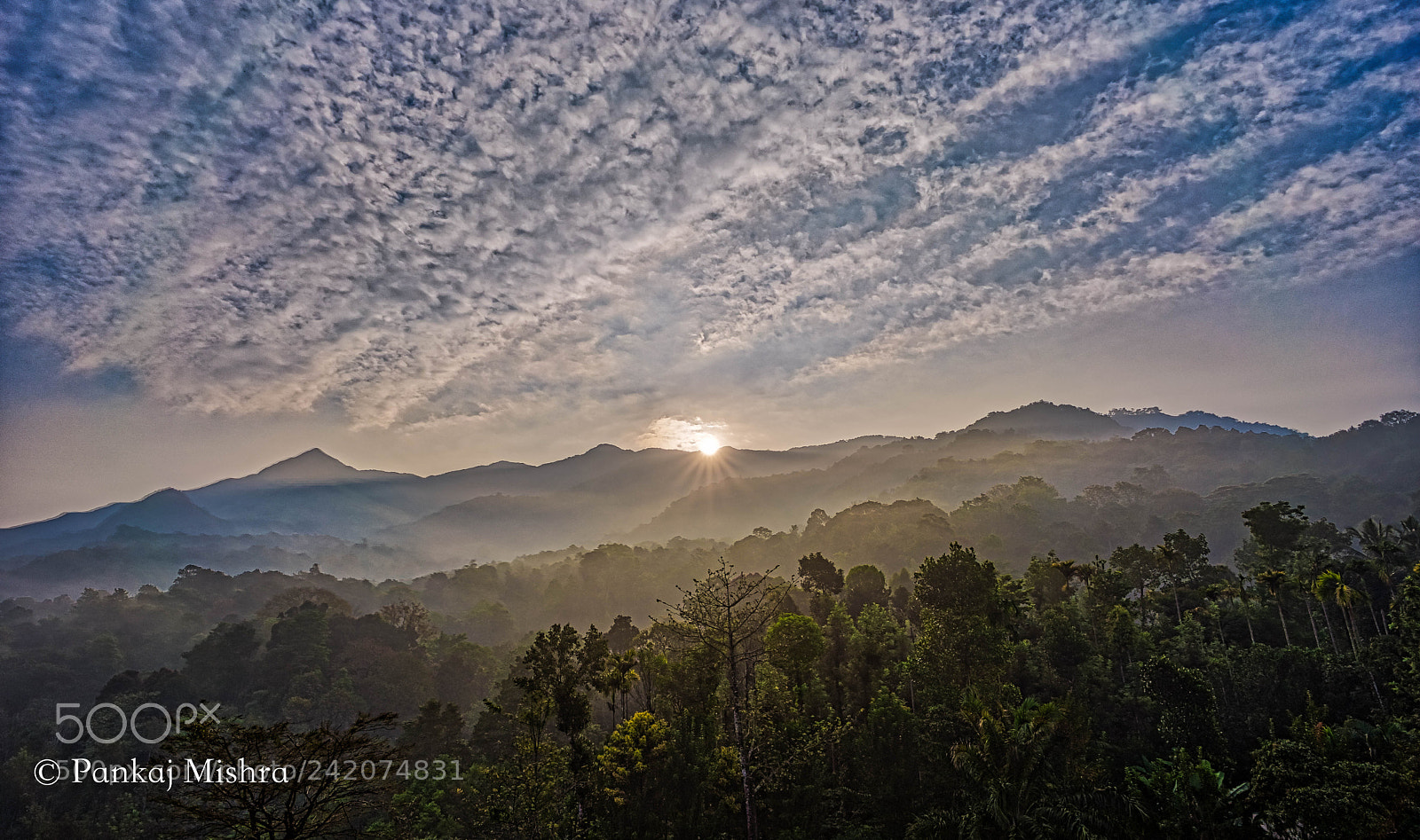 Sony a7 II sample photo. Vythiri photography