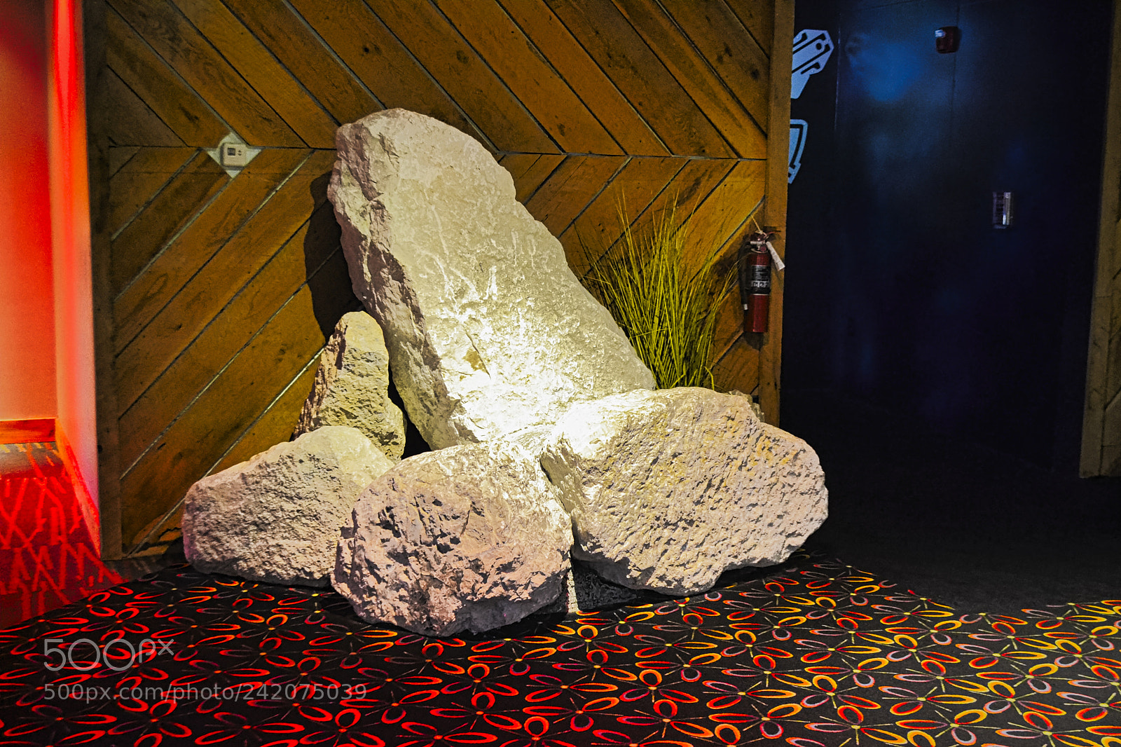 Nikon D3100 sample photo. Branson alligators, fish, spiders photography