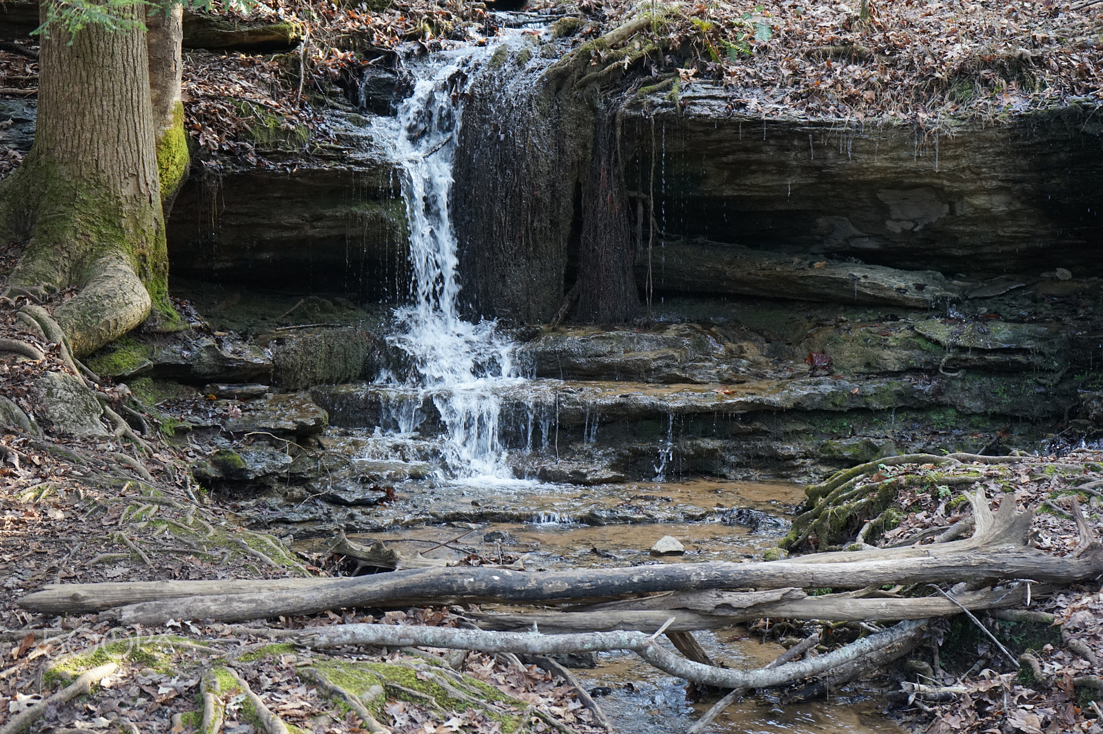Sony FE 28-70mm F3.5-5.6 OSS sample photo. Wonders of tennessee photography