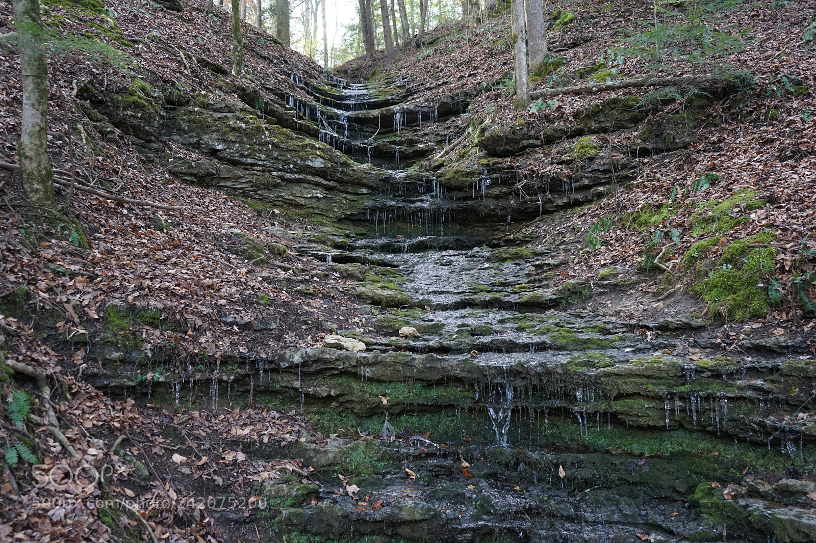 Sony a7 sample photo. Wonders of tennessee photography