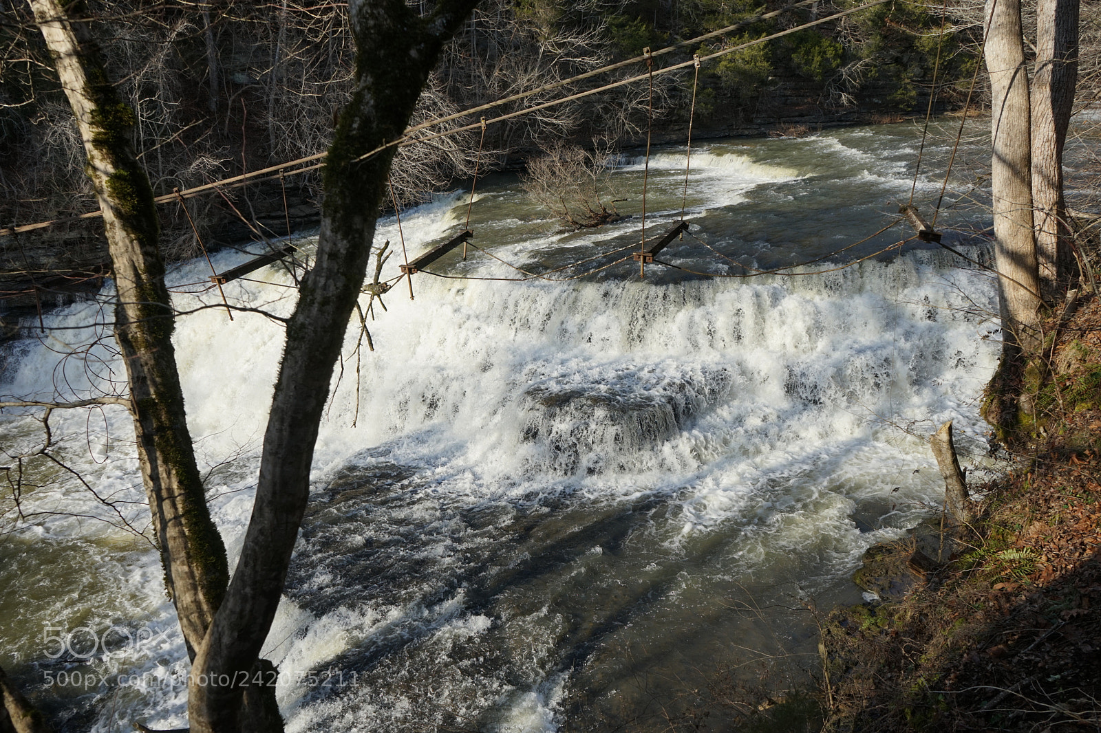Sony a7 sample photo. Wonders of tennessee photography
