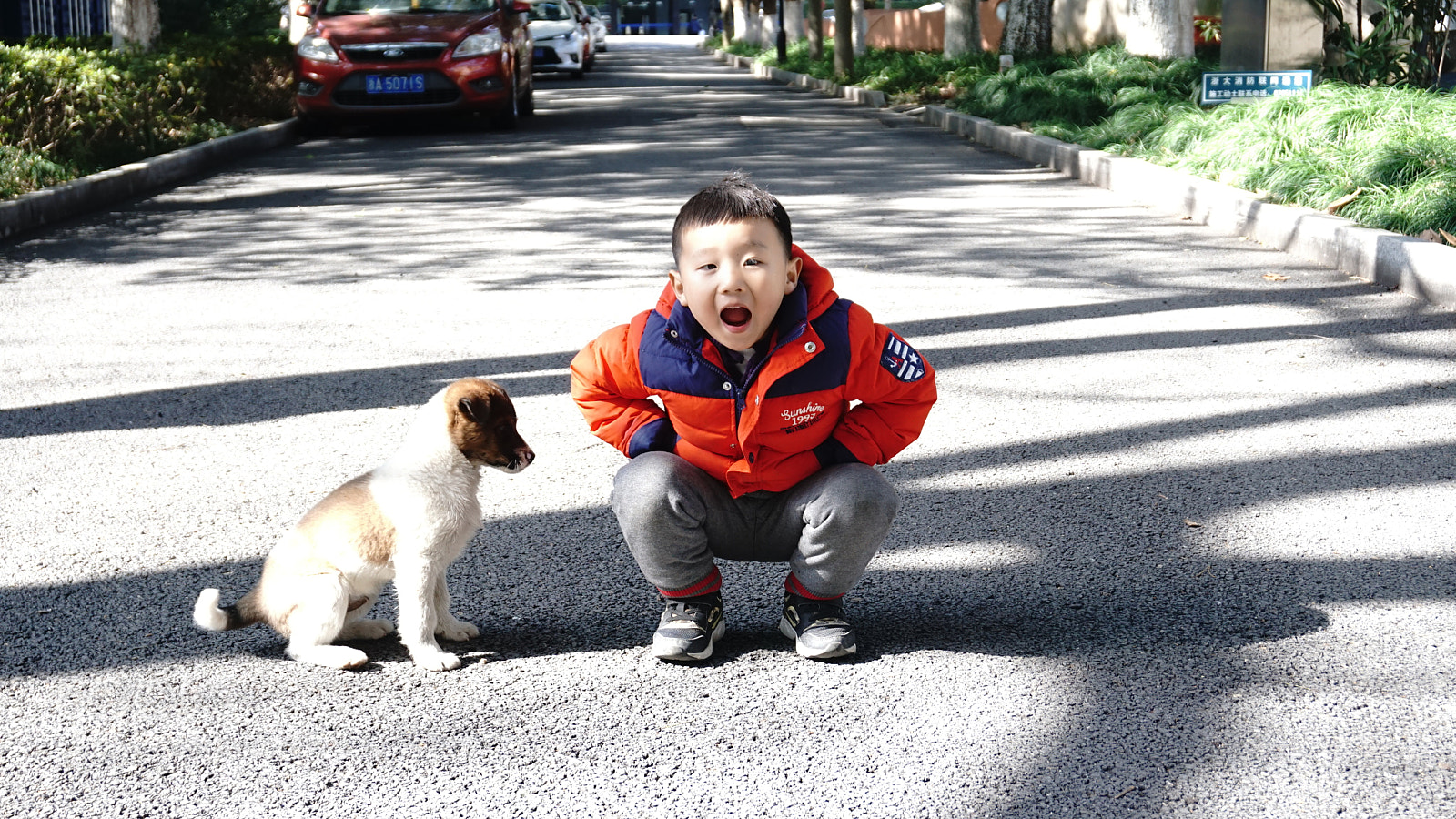 Sony a6000 + Sony E 18-50mm F4-5.6 sample photo. Kids and dog photography