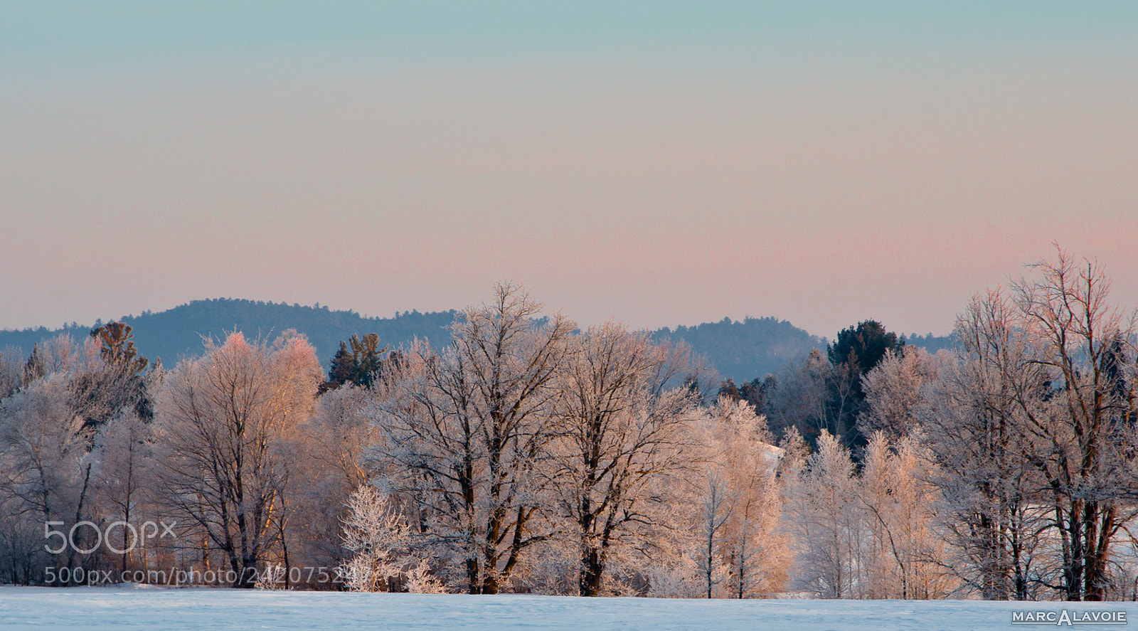 Pentax K-3 sample photo. Winter sunrise i photography