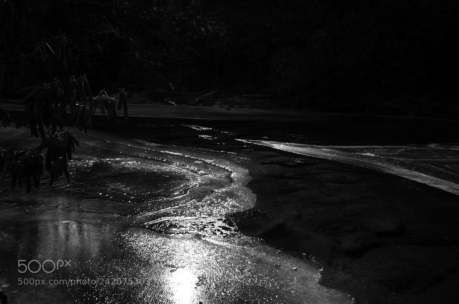 Nikon D5000 sample photo. Frozen flow photography