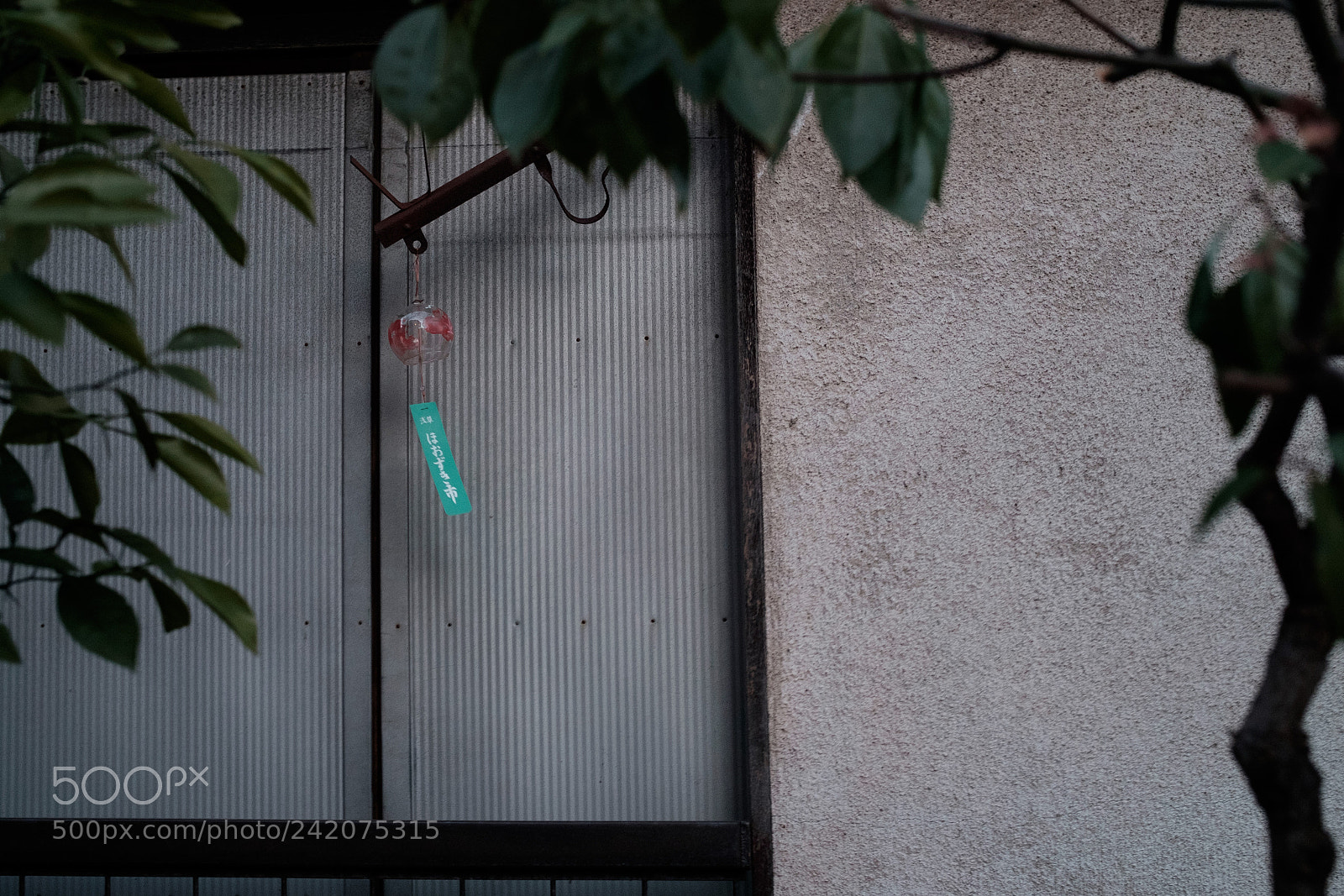 Fujifilm X-E2 sample photo. Ground cherry wind bell photography