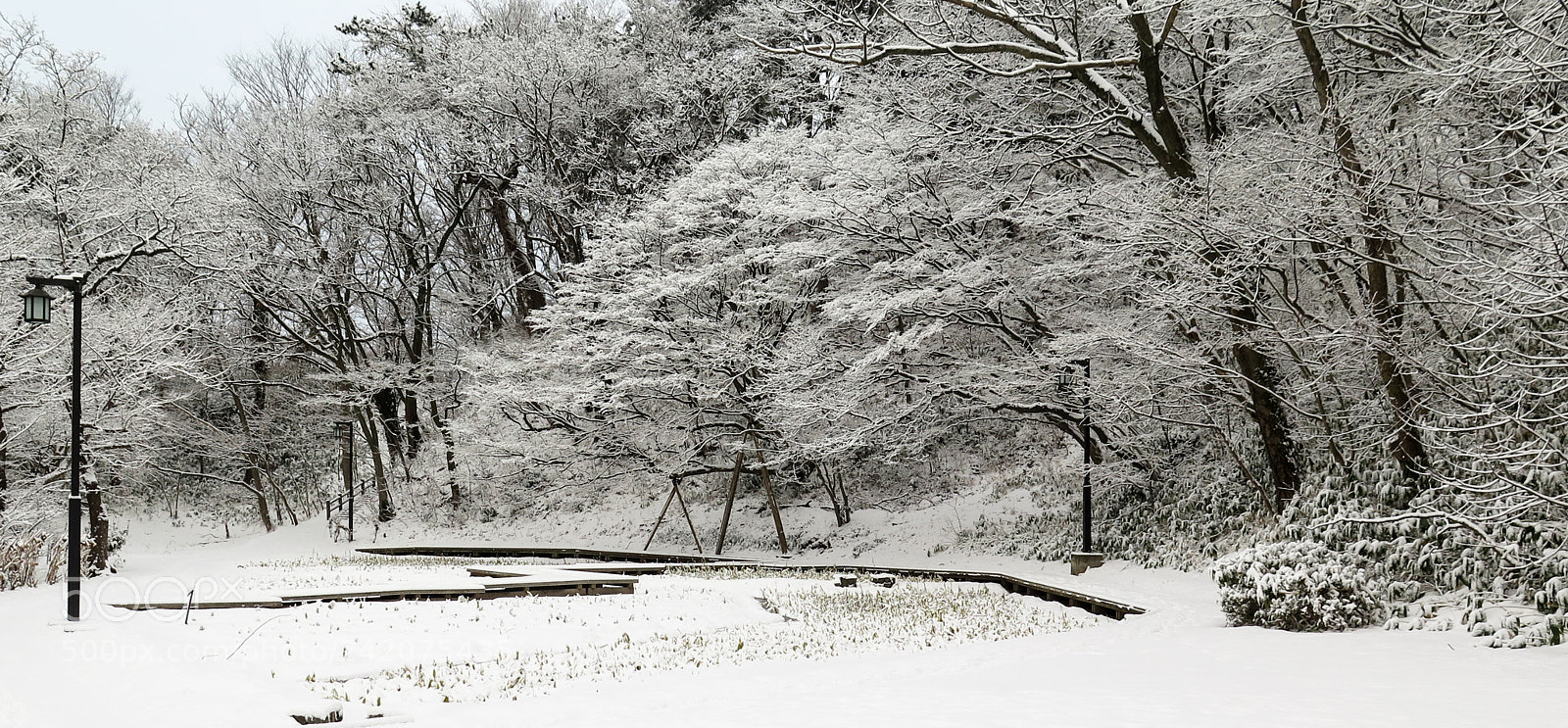 Canon PowerShot G16 sample photo. Snow covered trees photography