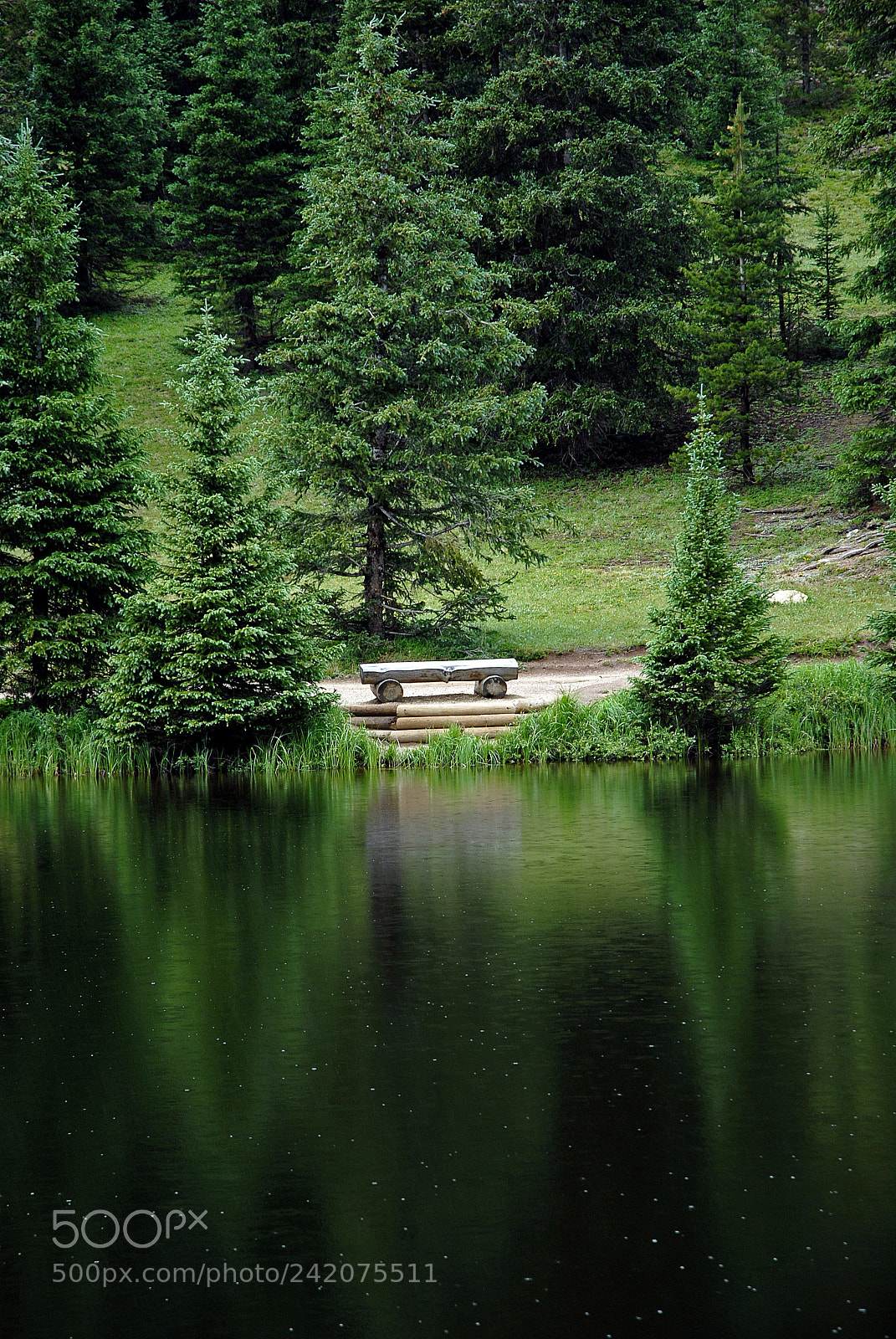 Nikon D200 sample photo. Lake irene dressed in photography