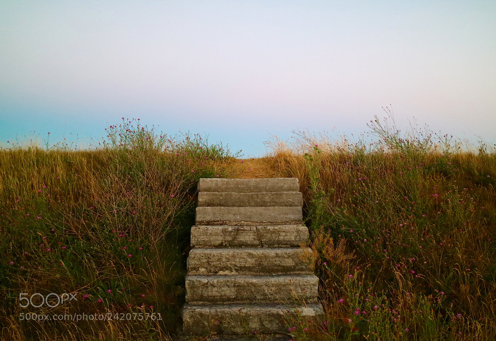 Canon EOS M3 sample photo. Trench stairway photography