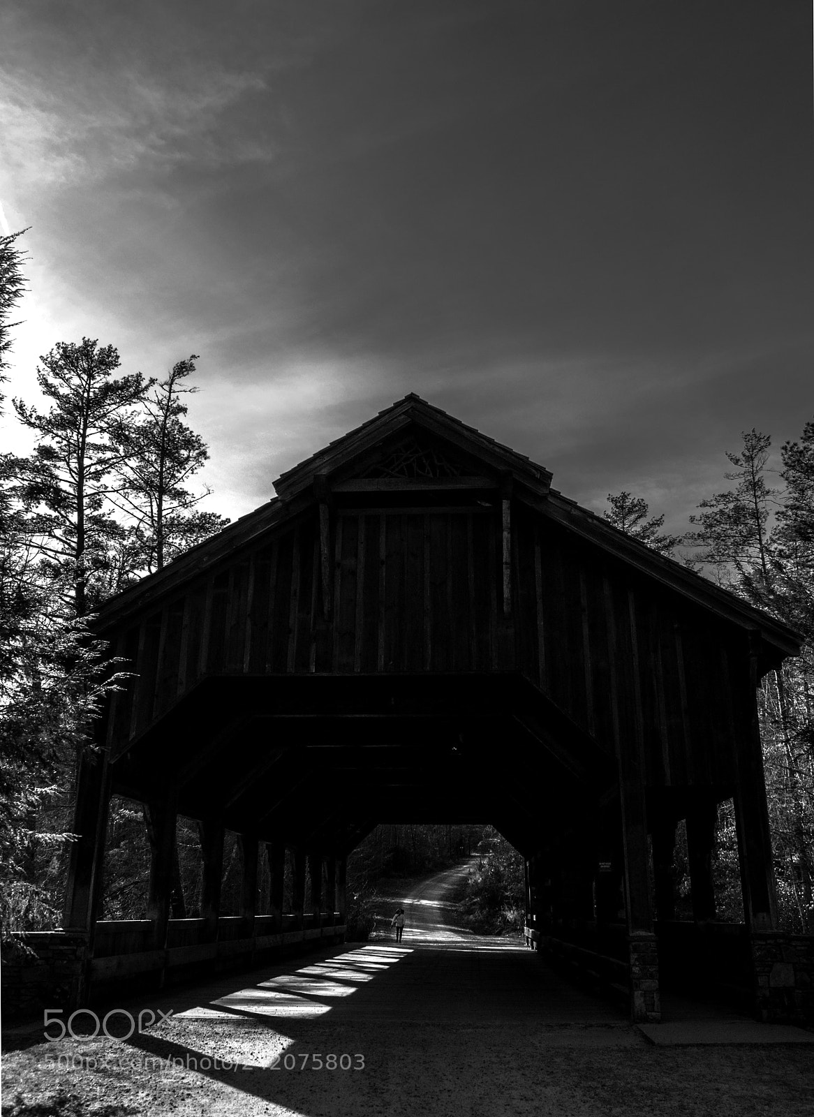 Nikon D5000 sample photo. Covered bridge photography