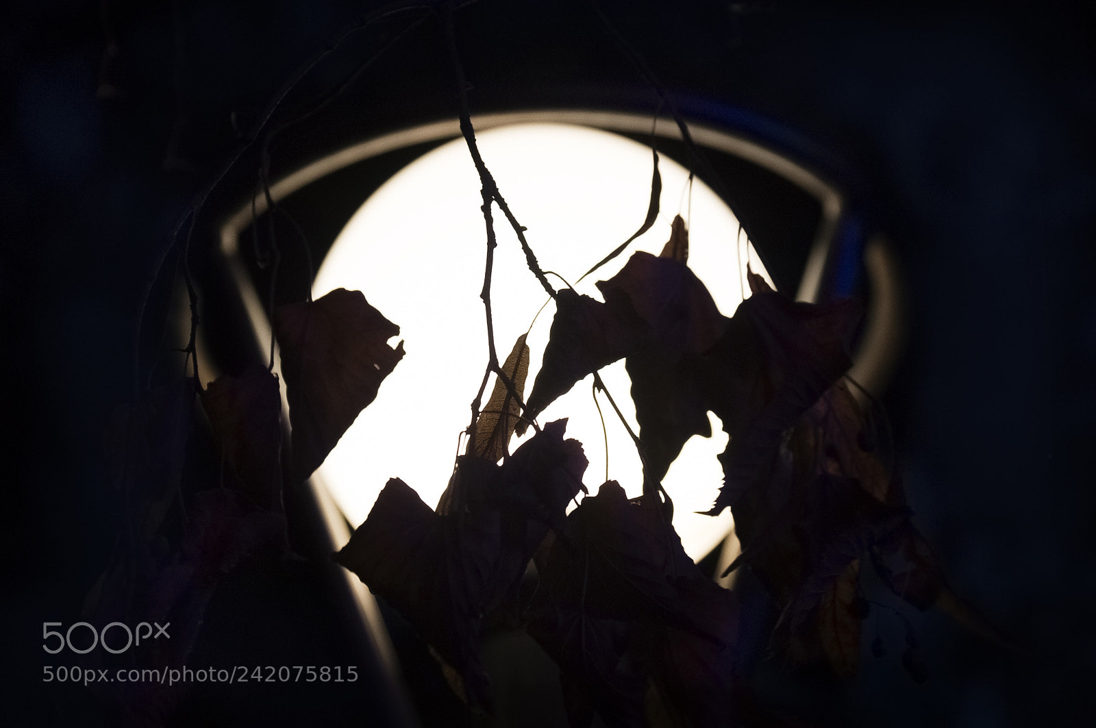 Sony SLT-A37 sample photo. Deputy moon photography
