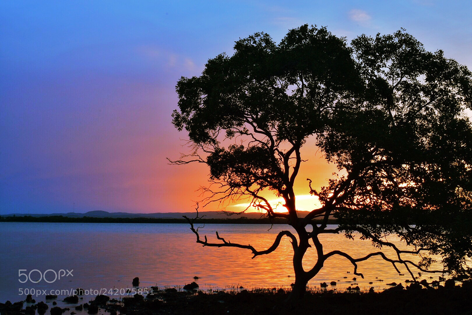Nikon D5500 sample photo. Coastal sunset photography