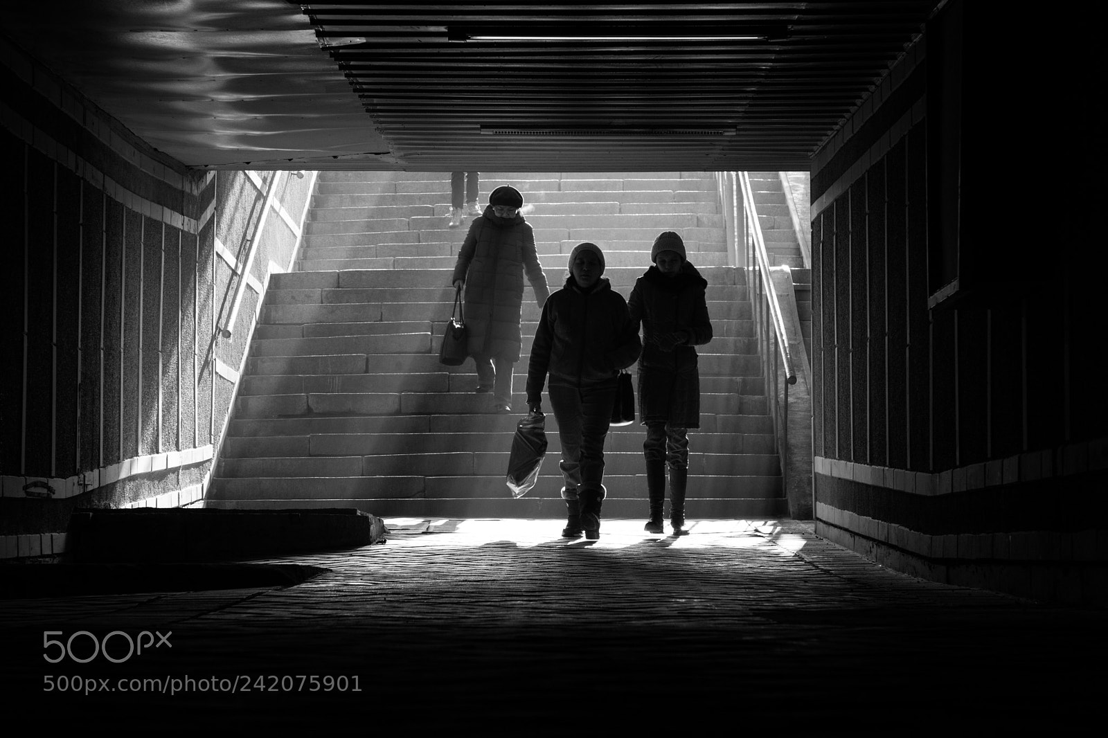 Canon EOS 6D Mark II sample photo. Untitled photography