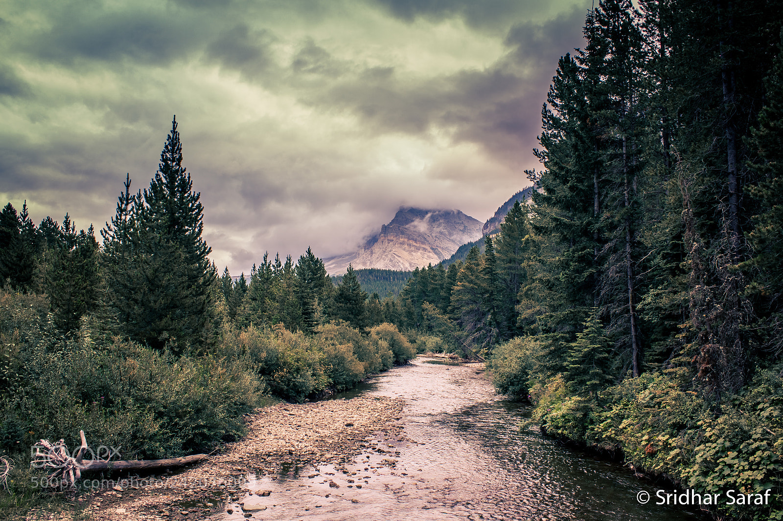 Canon EOS 550D (EOS Rebel T2i / EOS Kiss X4) sample photo. Glacier national park, montana photography