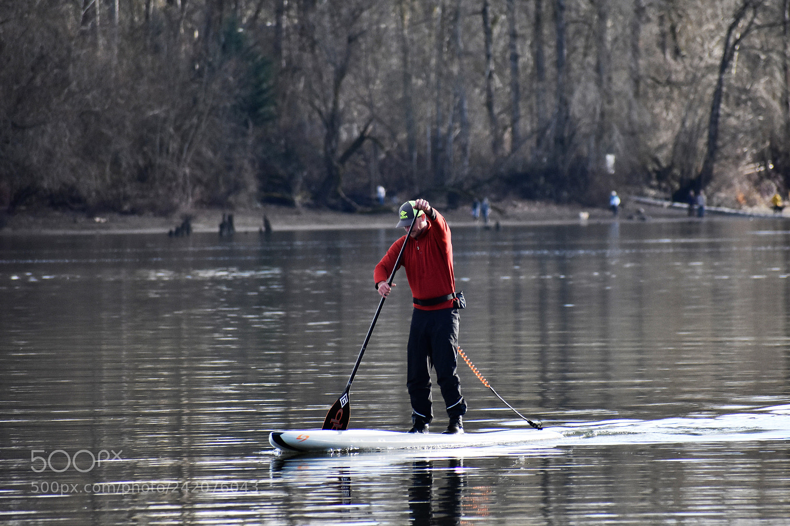 Nikon D3400 sample photo. River trail park and photography