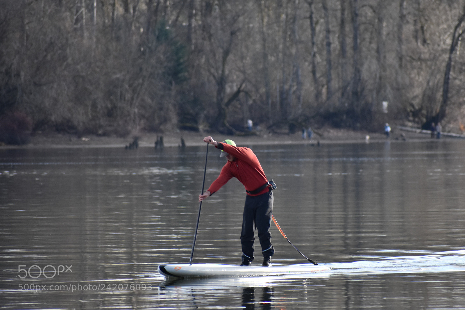 Nikon D3400 sample photo. River trail park and photography