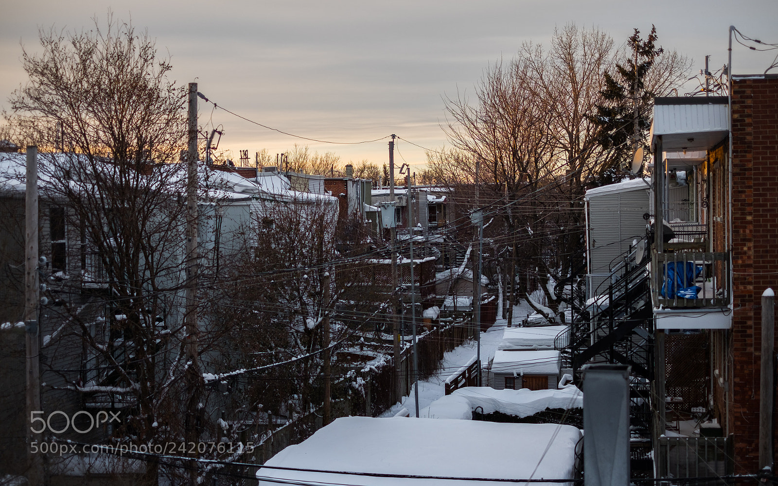Fujifilm X-T10 sample photo. Backyard / arrière-cour photography