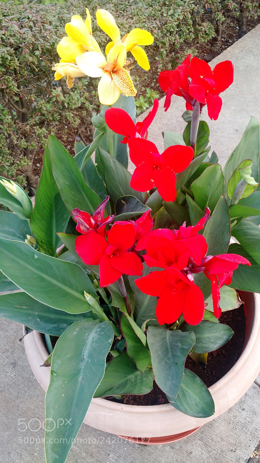Motorola Moto X (2nd Gen) sample photo. Untitled photography