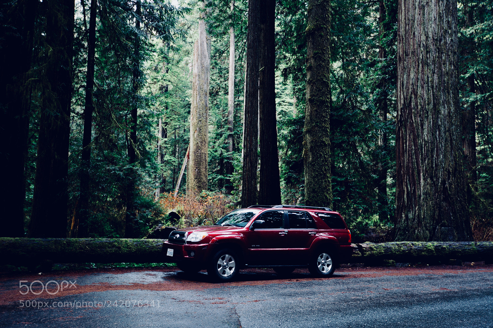 Nikon D7100 sample photo. A suv in redwood photography