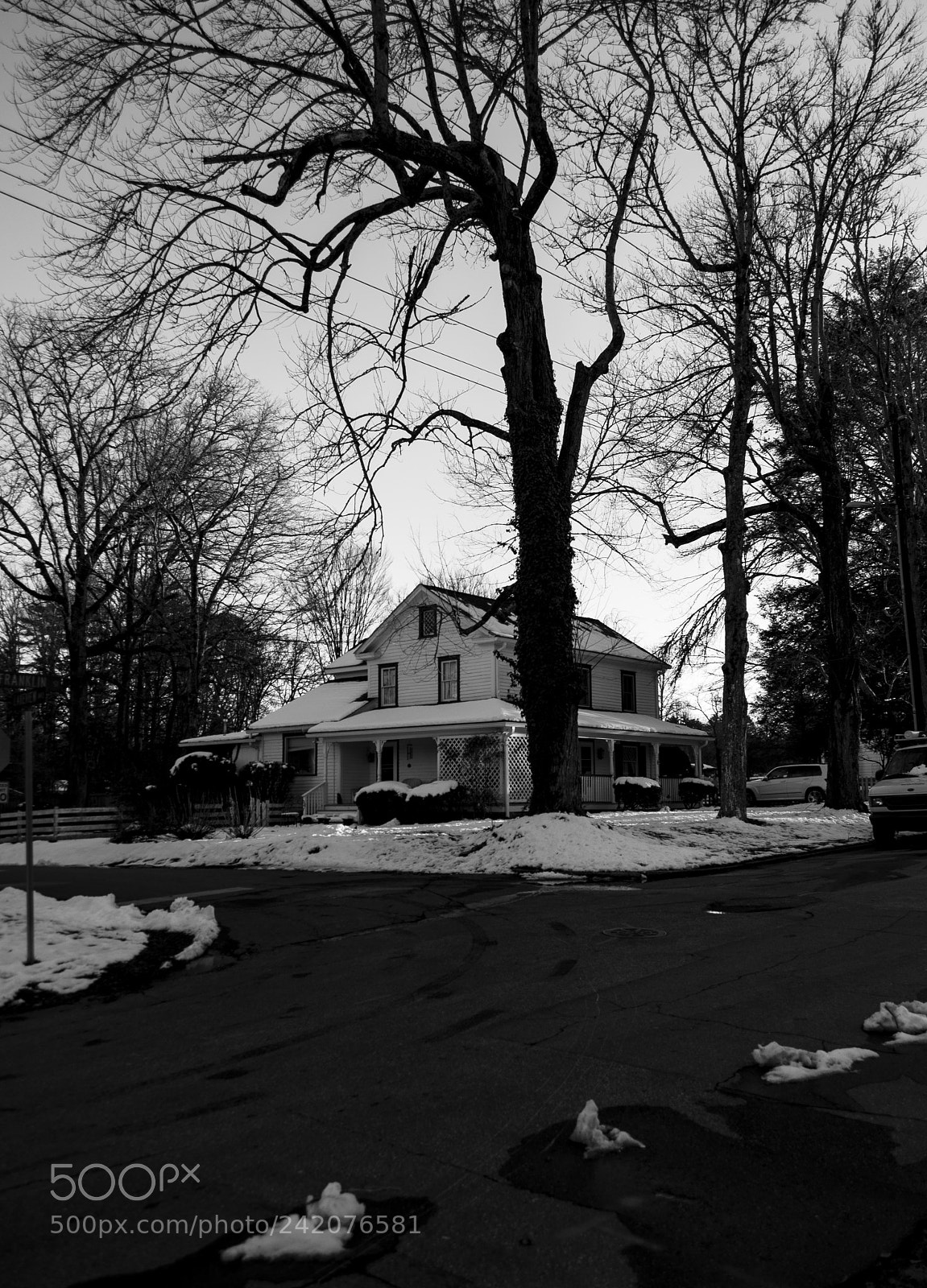 Nikon D5000 sample photo. The white house and photography