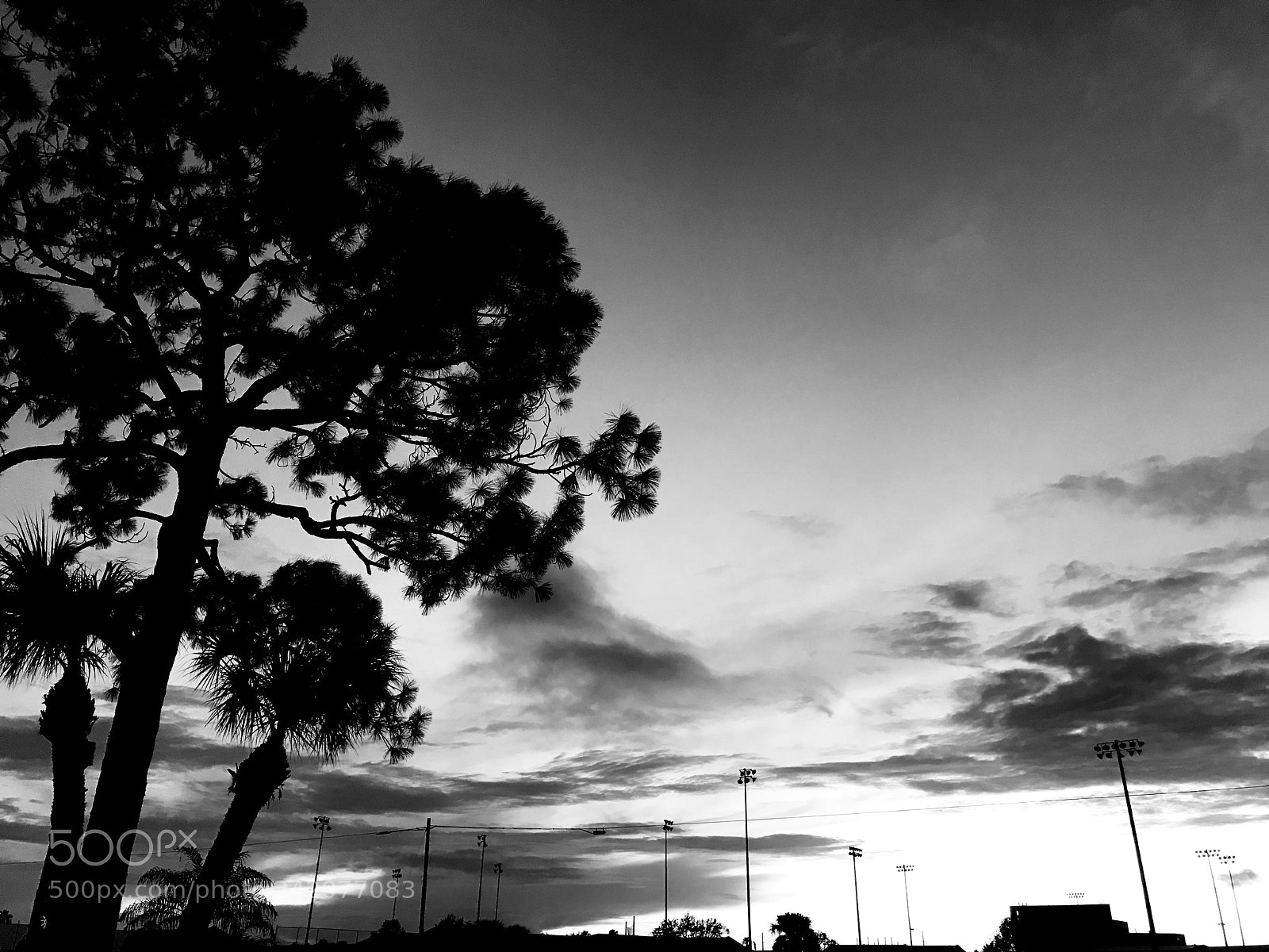 Apple iPhone 7 Plus sample photo. Suntree photography
