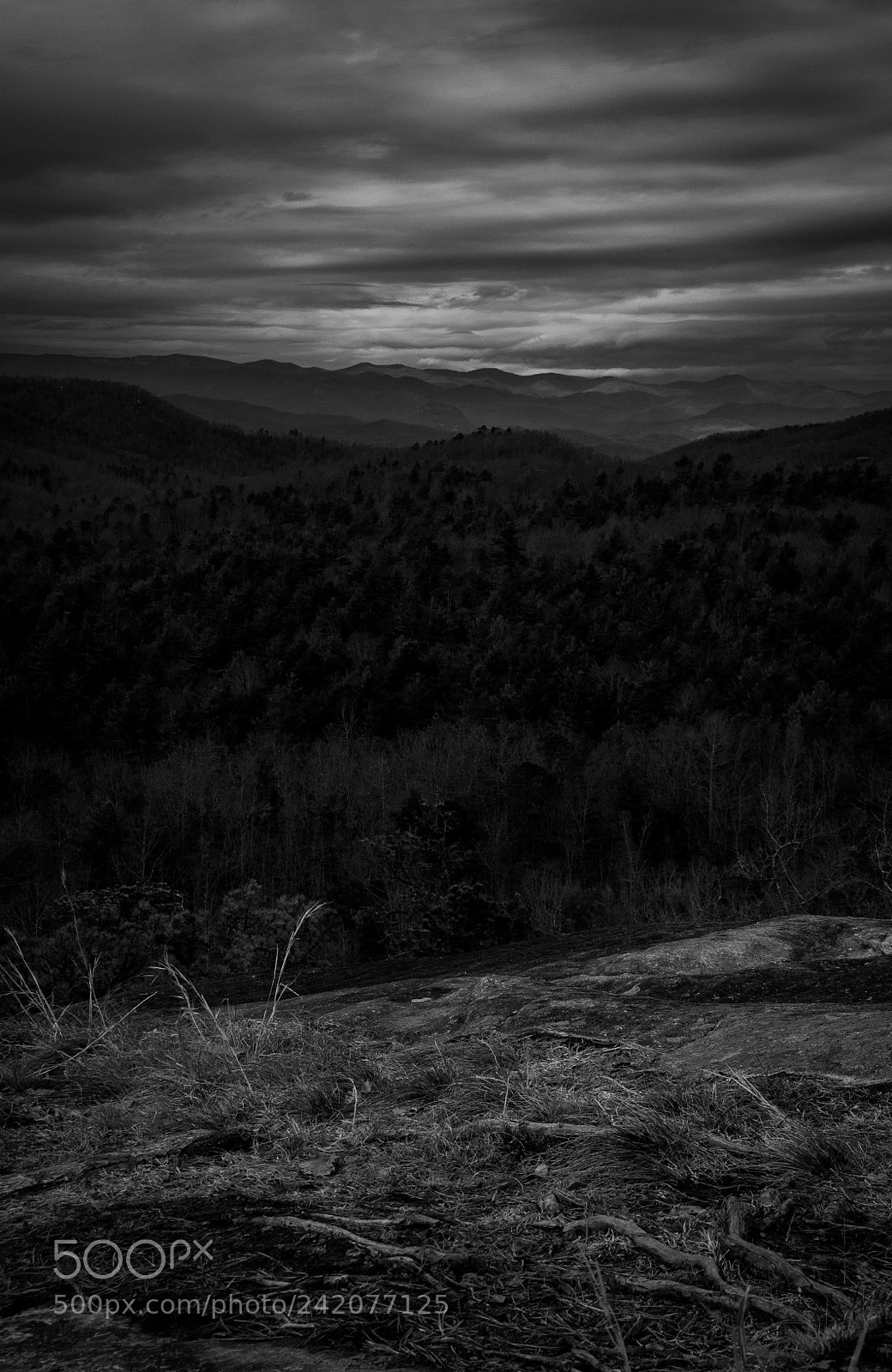 Nikon D5000 sample photo. Light on the ridge photography