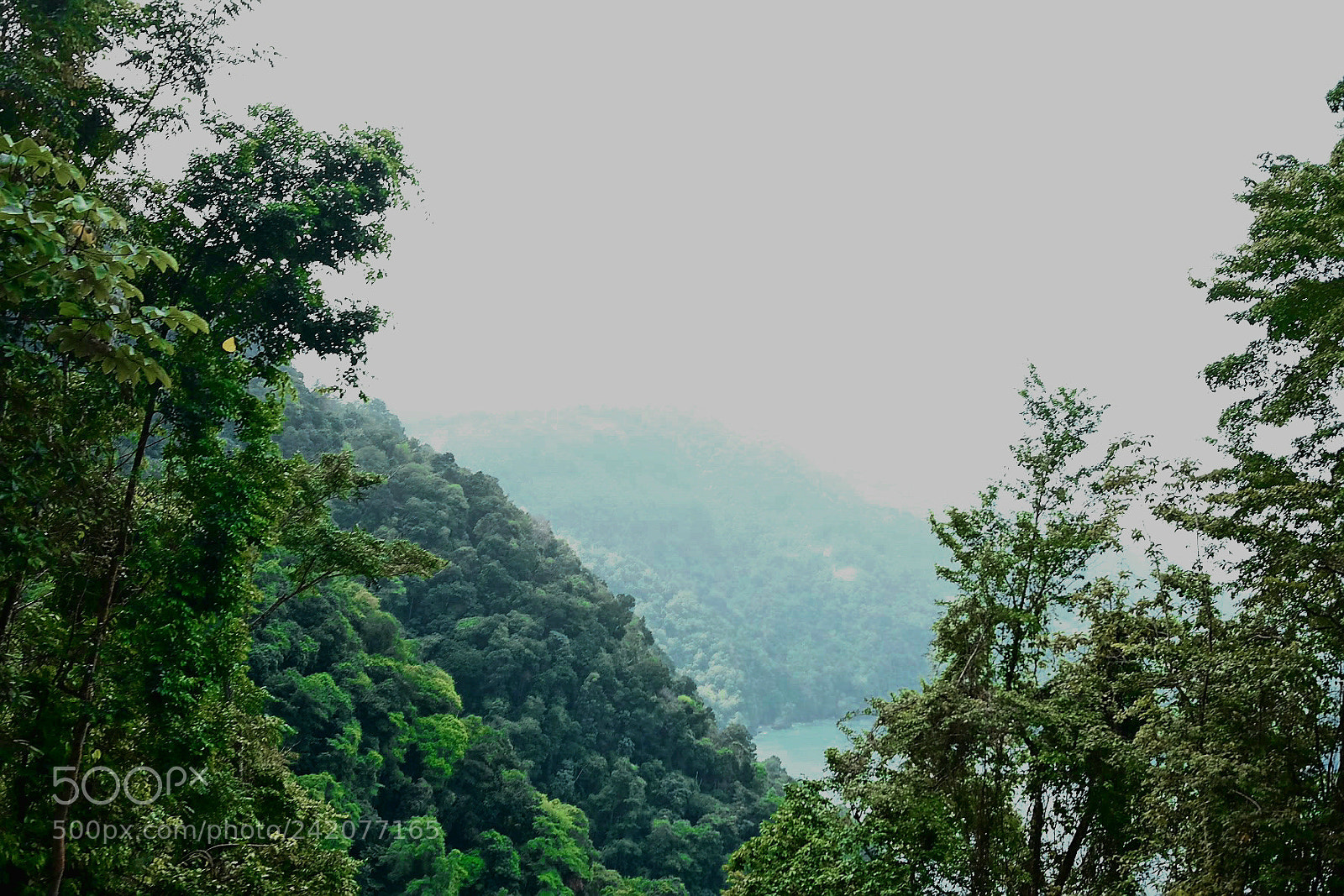 Fujifilm X70 sample photo. Untitled photography