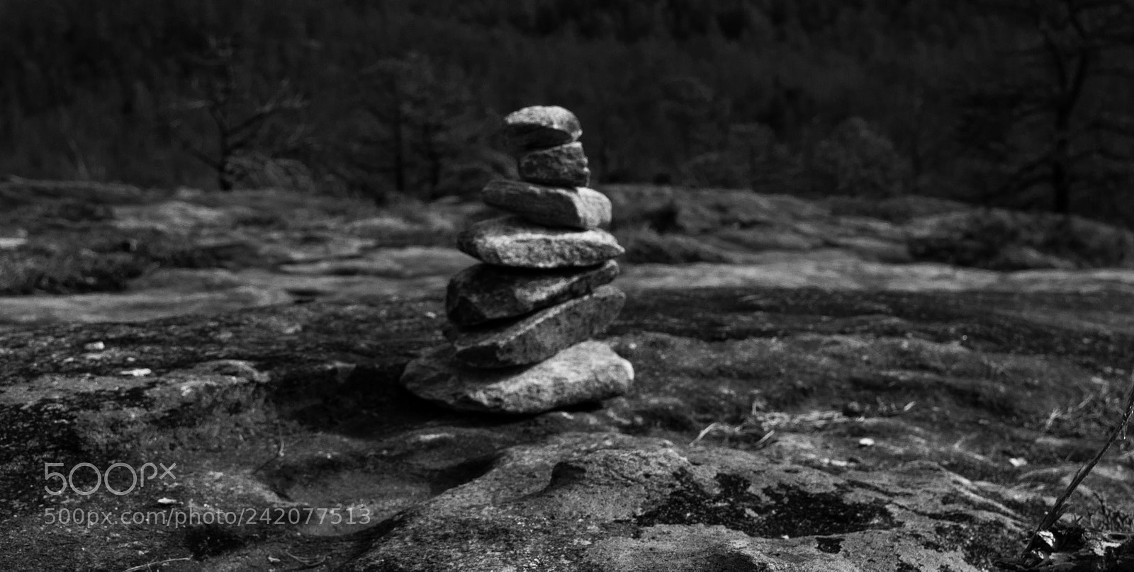 Nikon D5000 sample photo. Rock stack photography