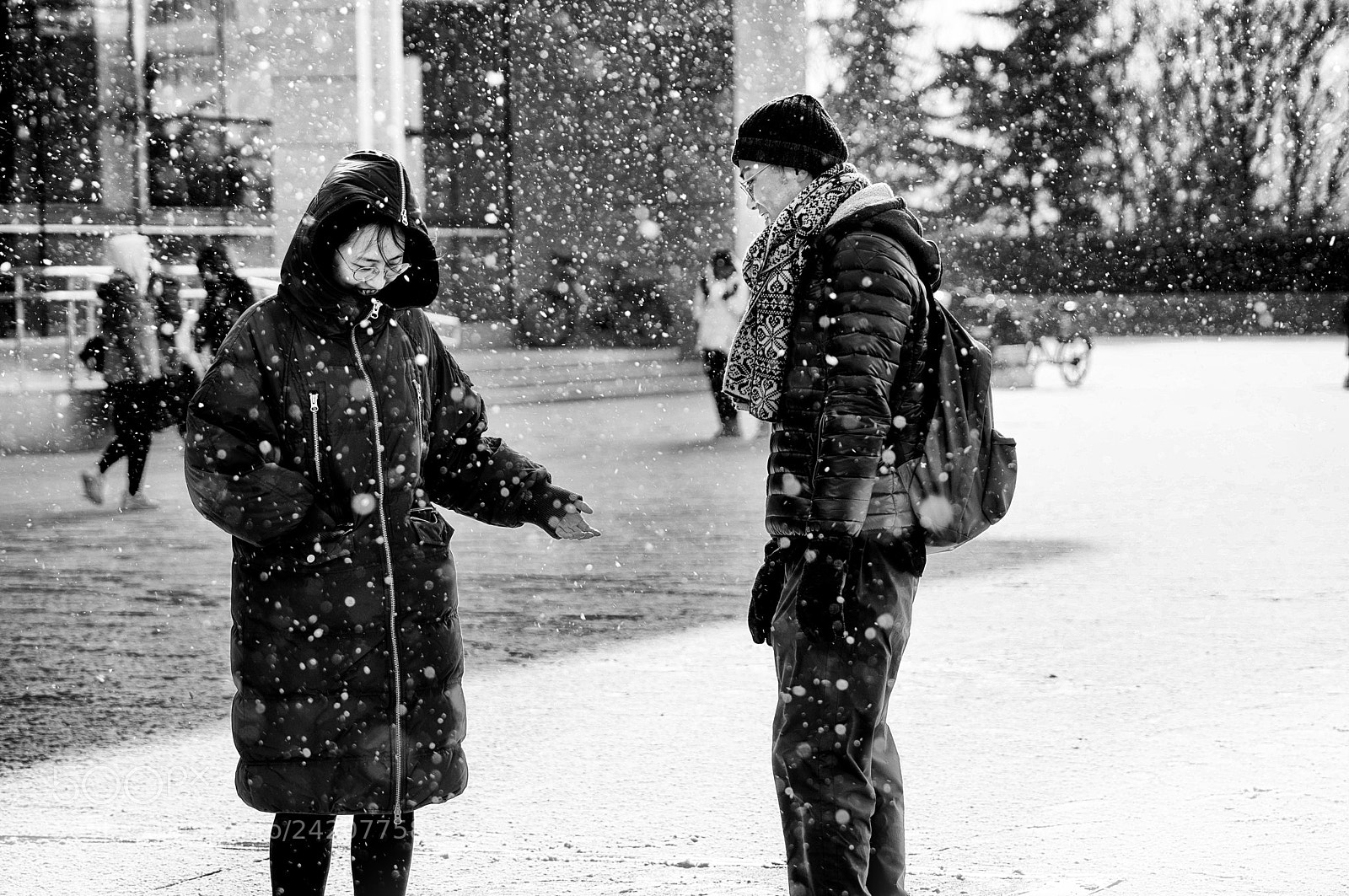 Sony a7R III sample photo. Snowing03 photography