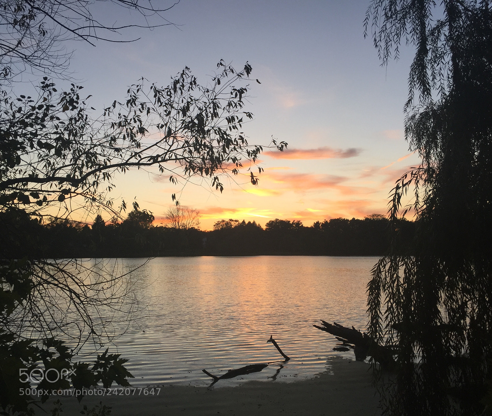 Apple iPhone 6 Plus sample photo. Water, trees & ... sunset photography