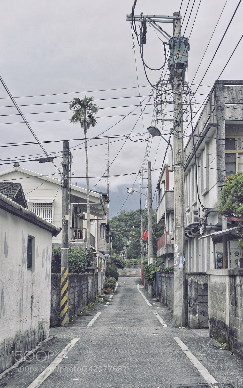 Nikon D810 sample photo. Untitled photography