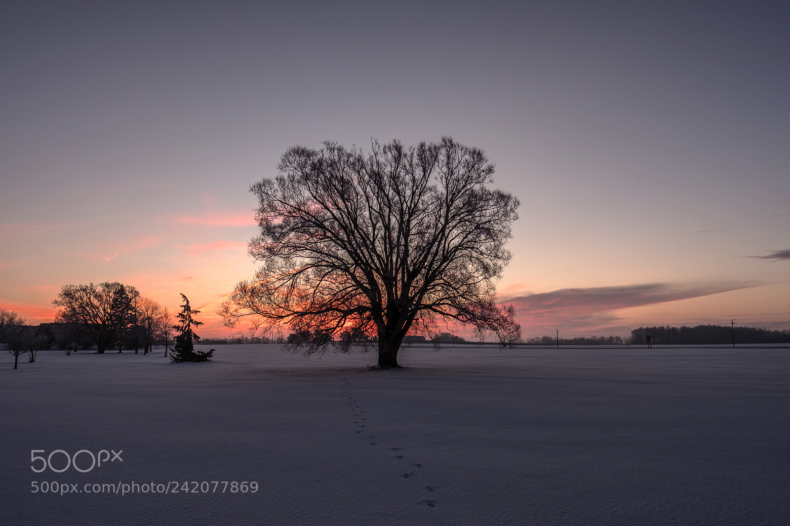 Fujifilm X-T2 sample photo. Winter sunrise photography