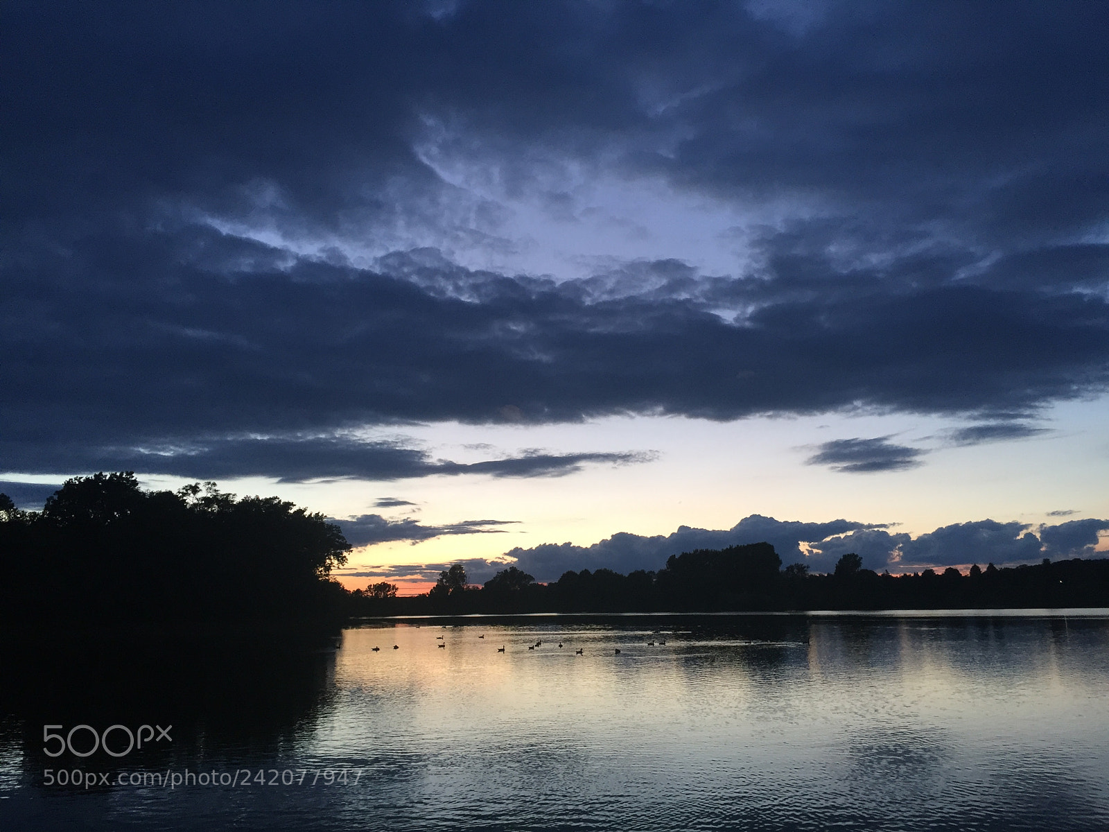 Apple iPhone 6 Plus sample photo. Trees, water, clouds photography