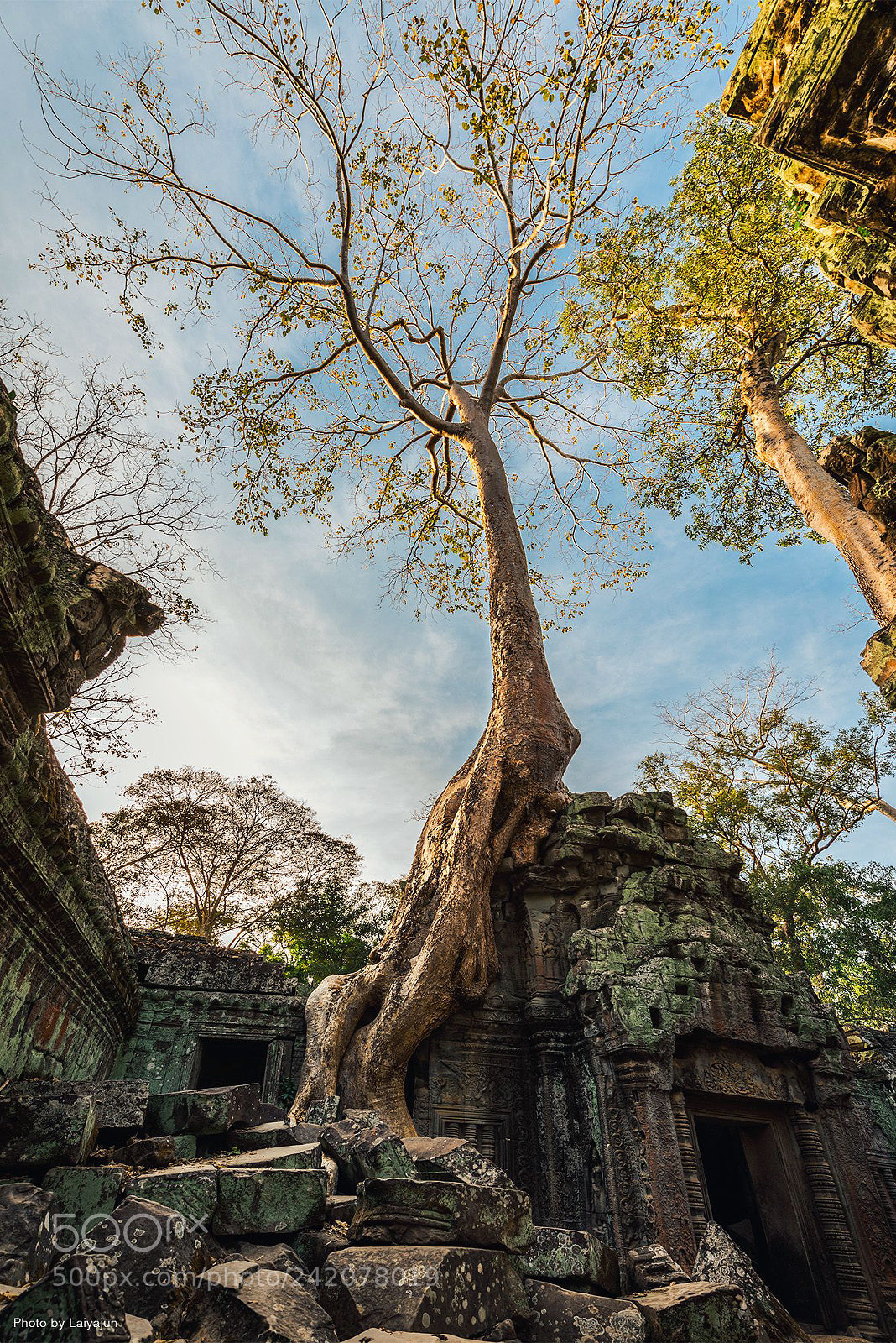 Nikon D800E sample photo. Ta prohm photography