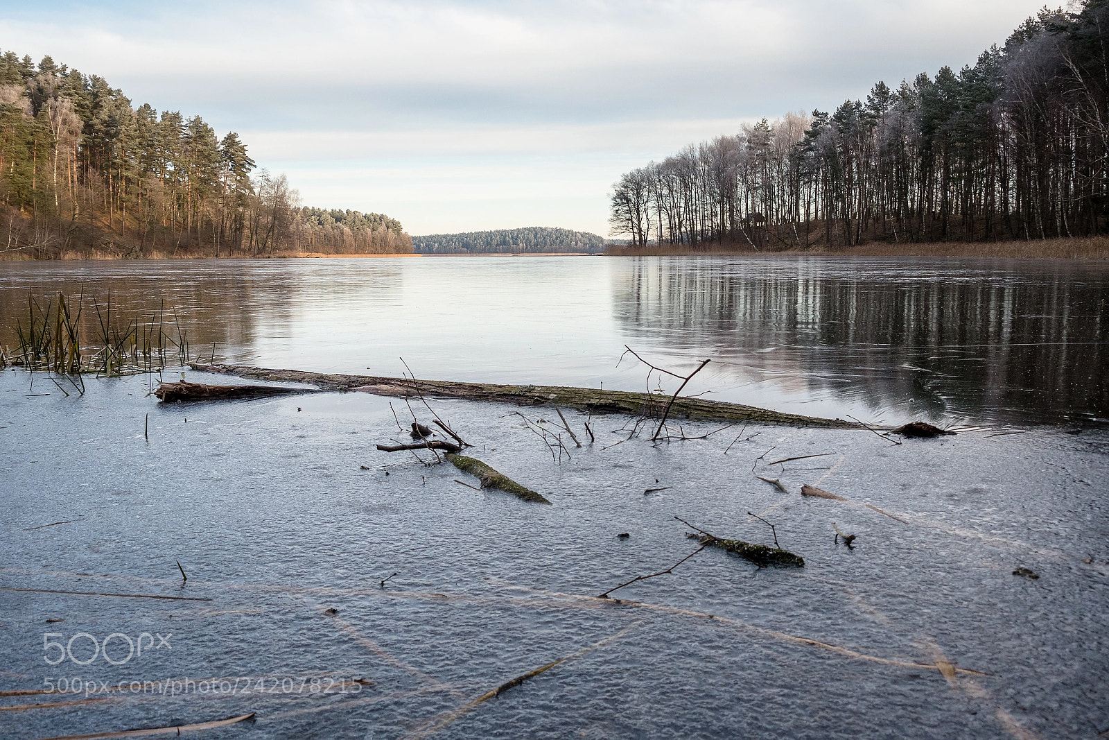 Panasonic Lumix DMC-G6 sample photo. Morning frosty silence photography