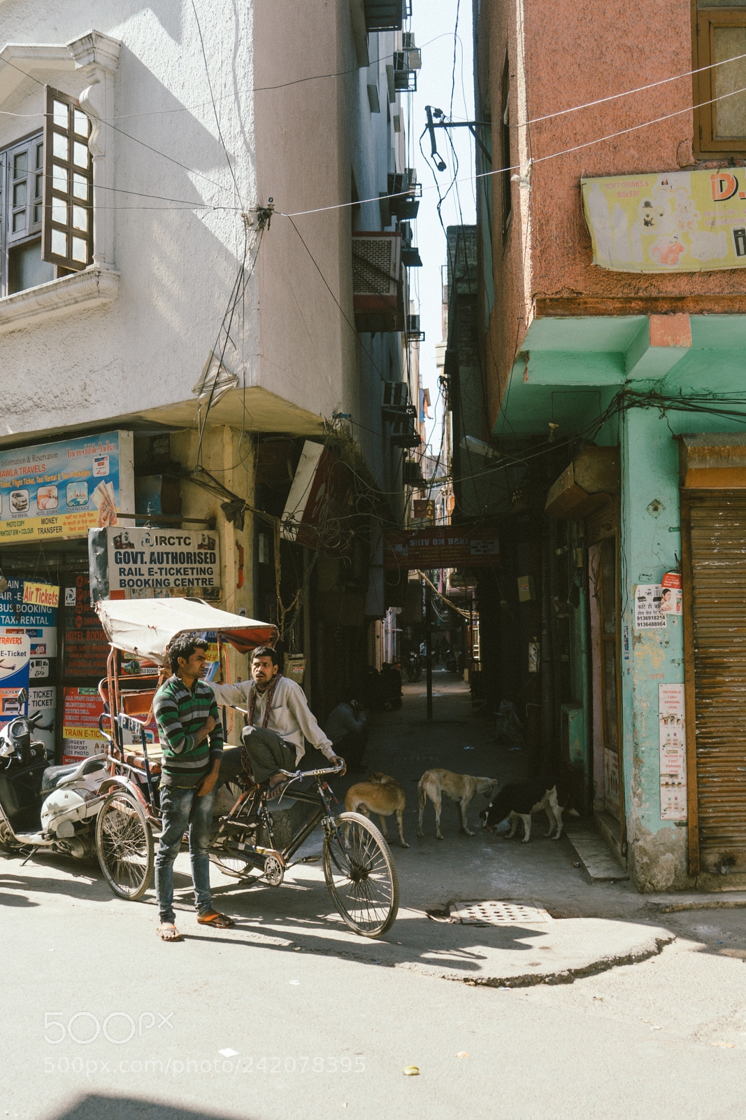 Sony a7 II sample photo. Delhi photography