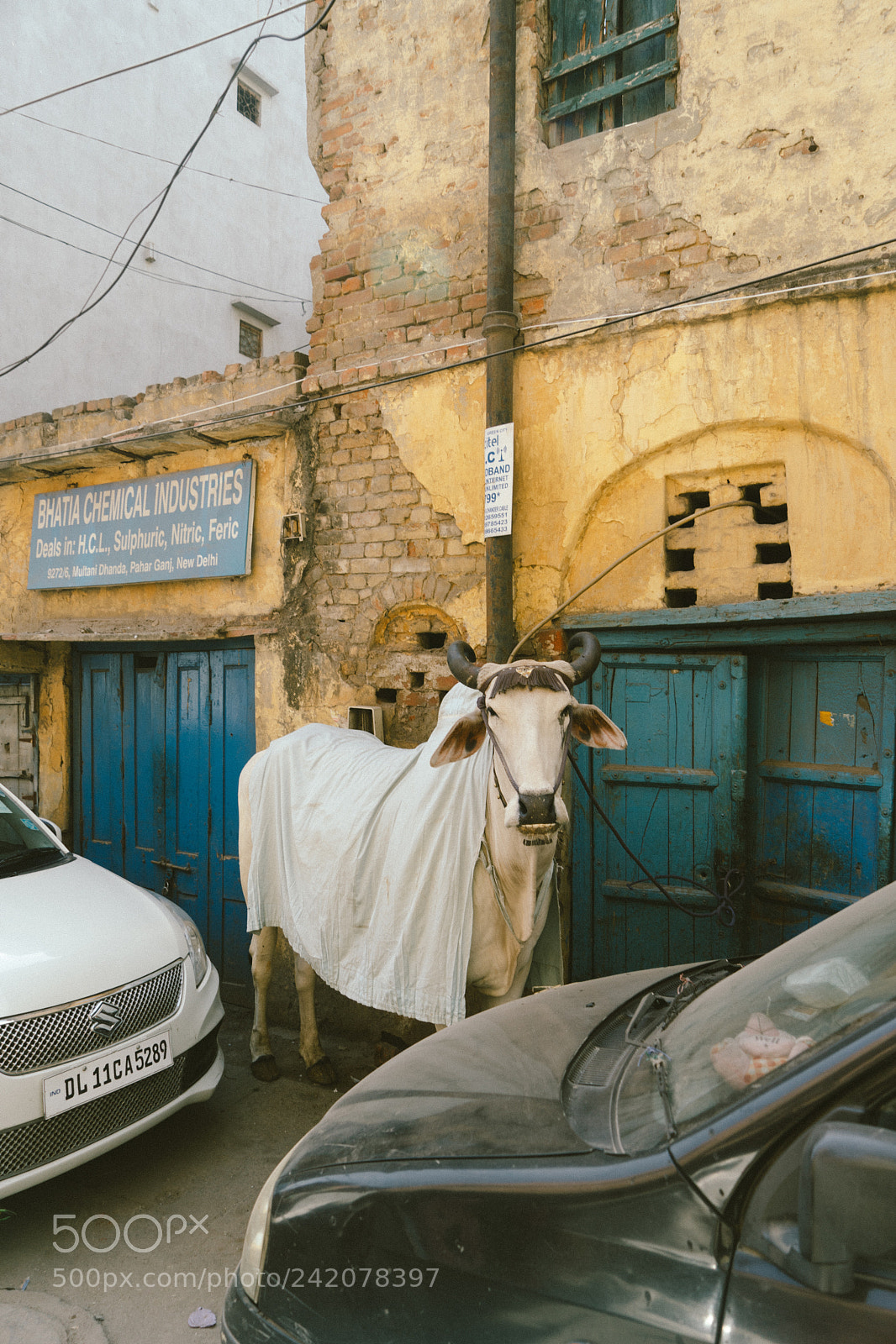 Sony a7 II sample photo. Delhi photography