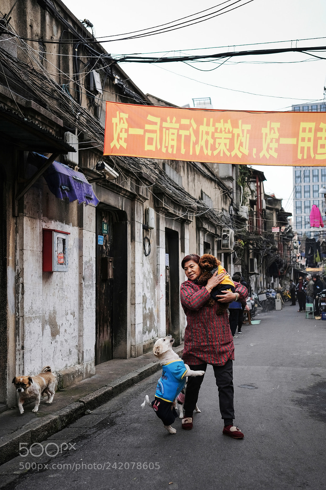 Fujifilm X-T2 sample photo. Untitled photography
