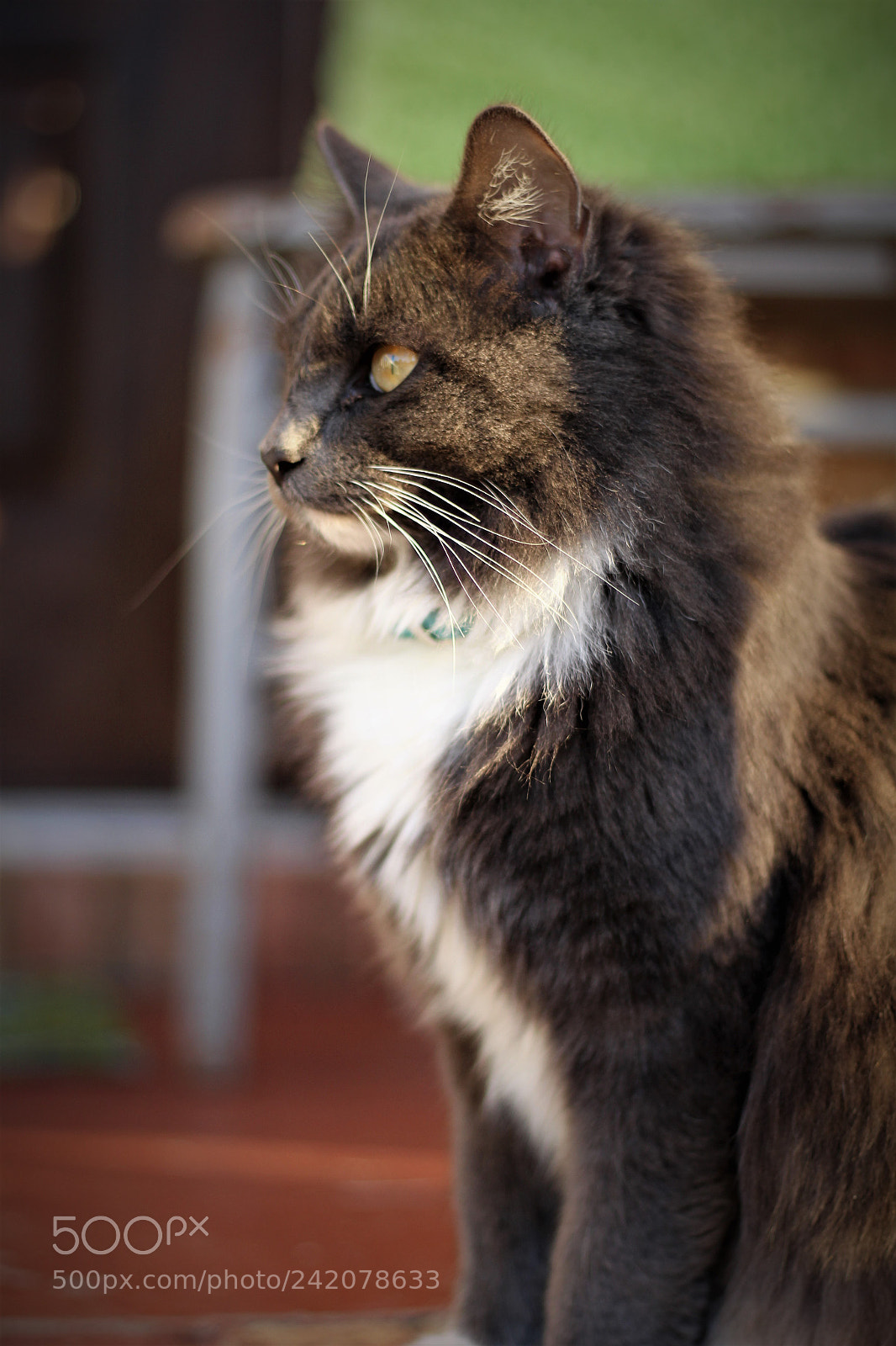 Canon EOS 700D (EOS Rebel T5i / EOS Kiss X7i) sample photo. Untitled photography