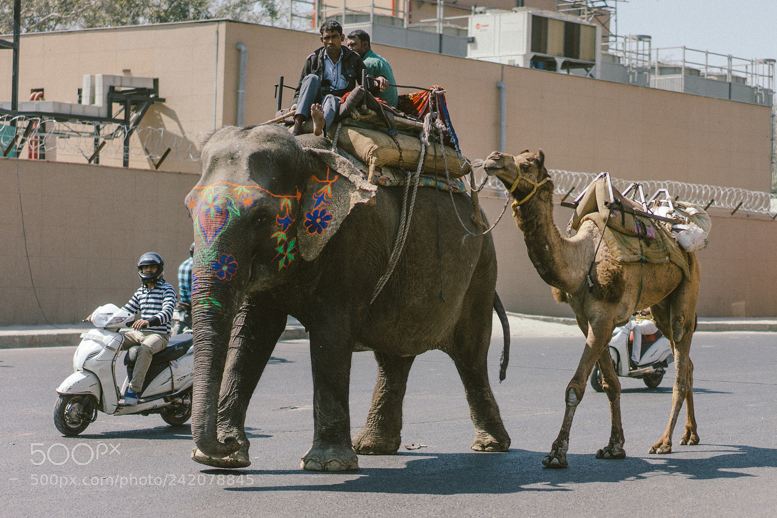 Sony a7 II sample photo. Delhi photography