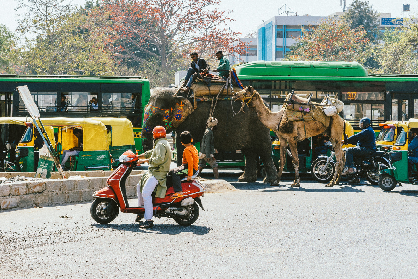 Sony a7 II sample photo. Delhi photography