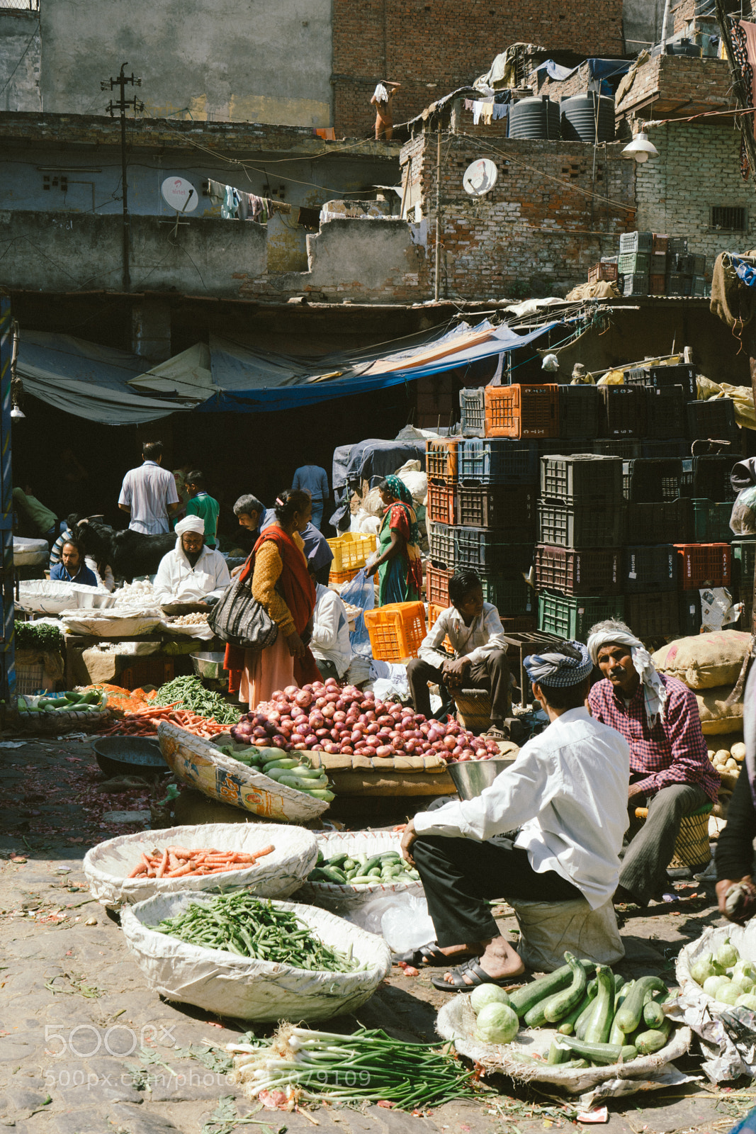 Sony a7 II sample photo. Delhi photography