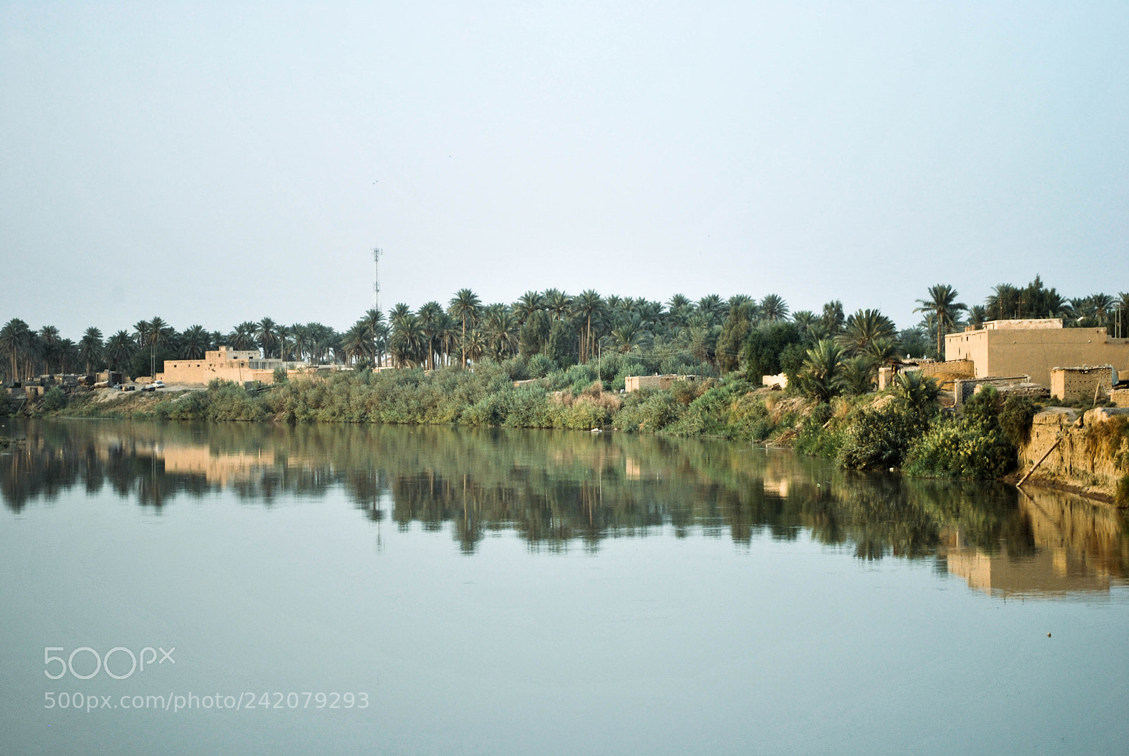 Nikon D3000 sample photo. Reflection of the trees photography