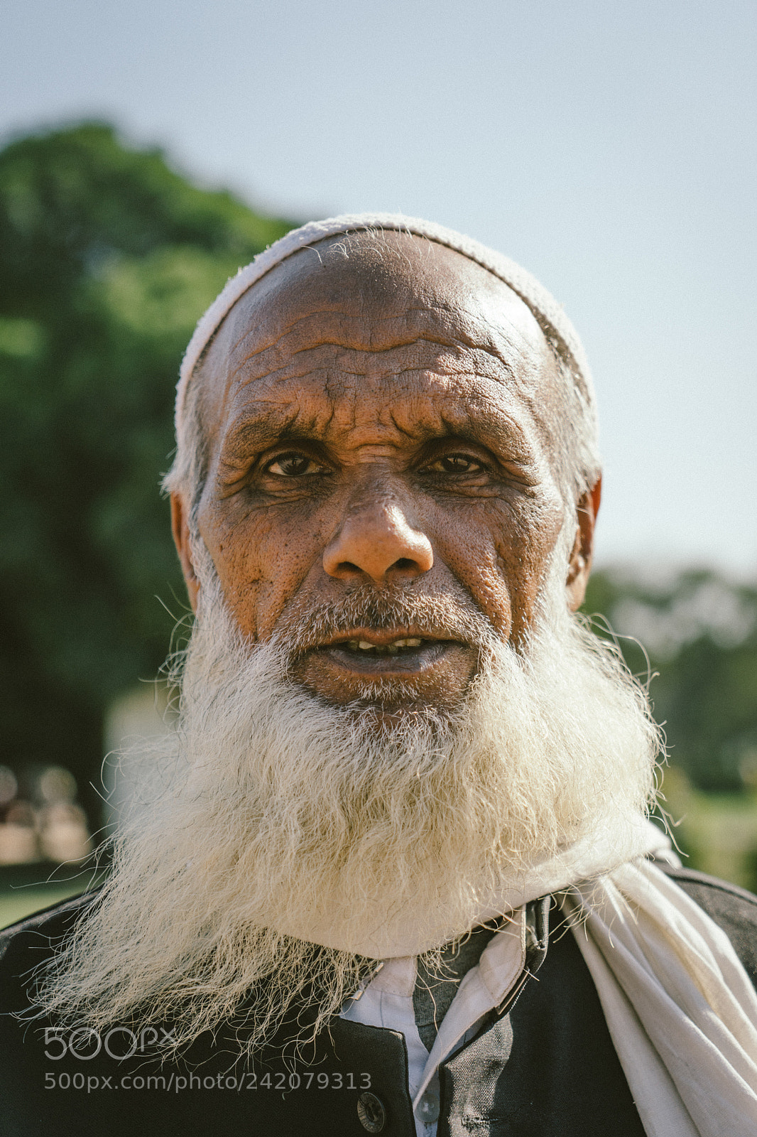 Sony a7 II sample photo. Delhi photography