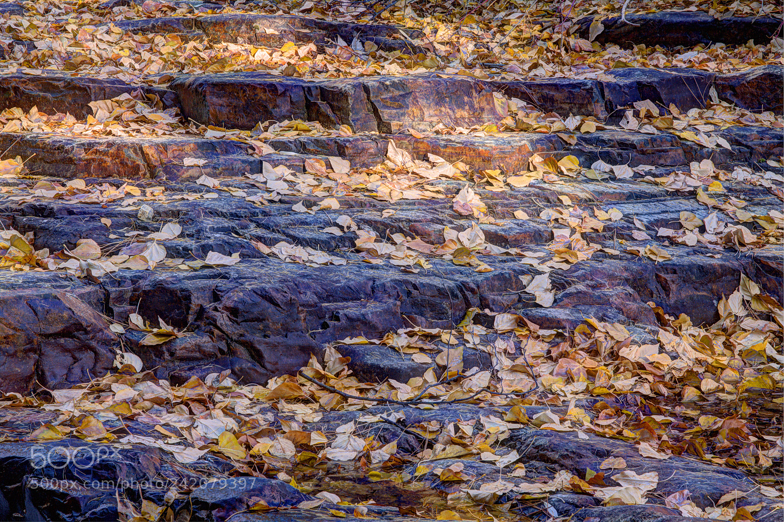 Canon EOS 50D sample photo. Mark creek autumn hdr photography