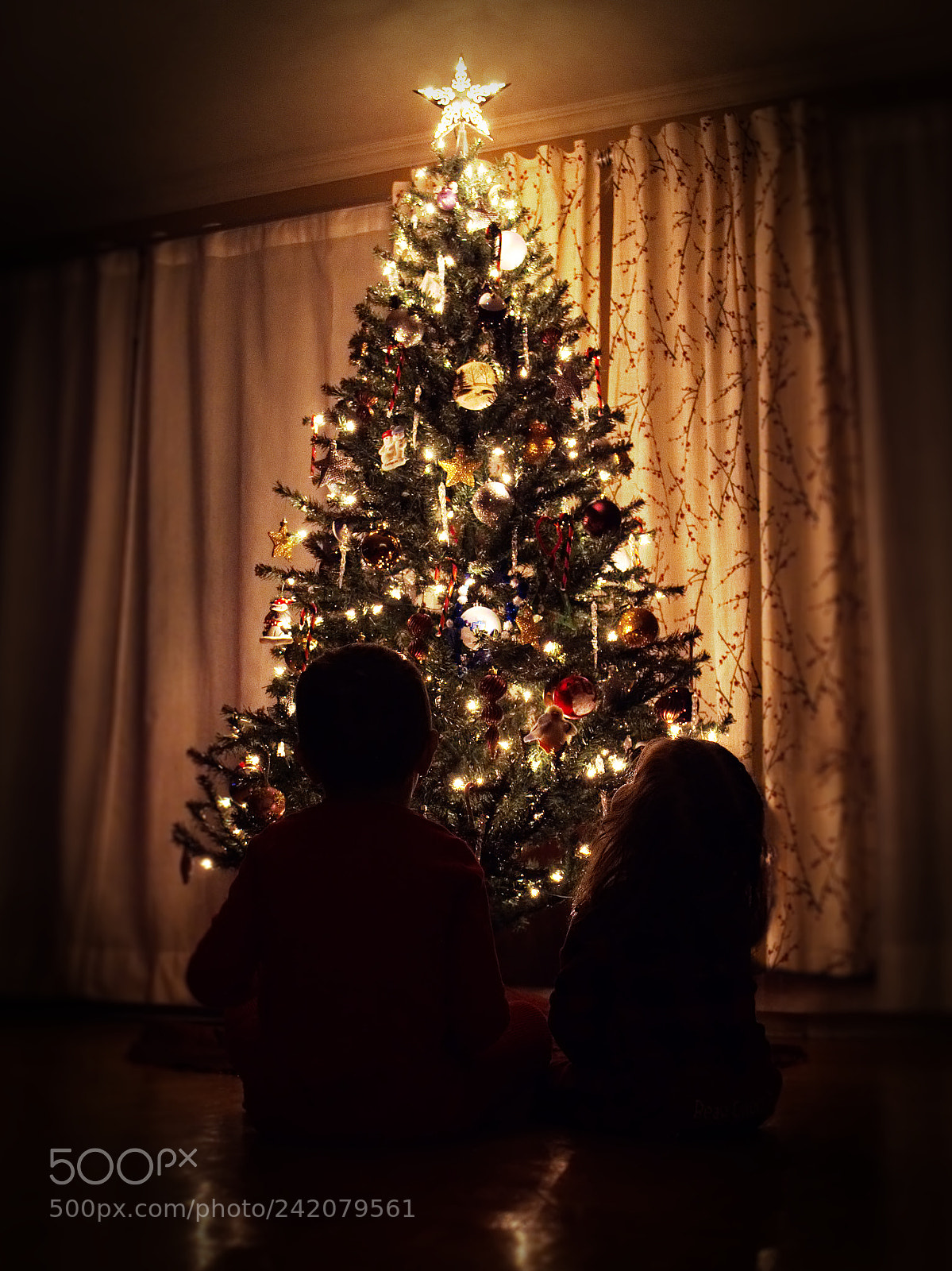 Panasonic Lumix DC-GH5 sample photo. Oh christmas tree photography
