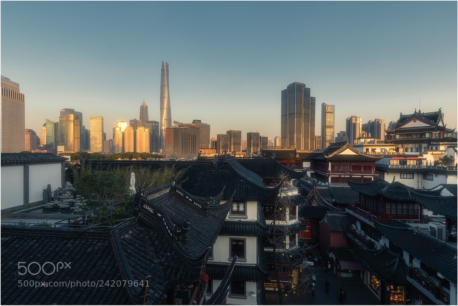 Sony a7R sample photo. Untitled photography