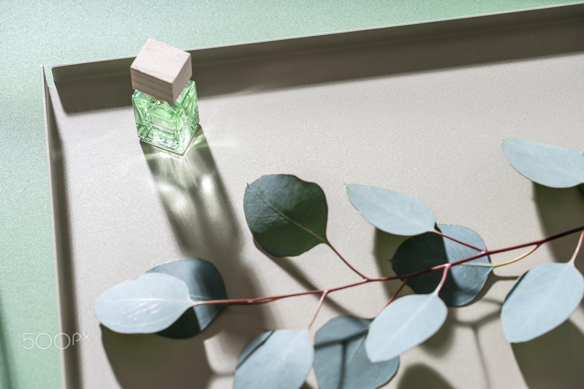 Green eucalyptus branch and glass jar