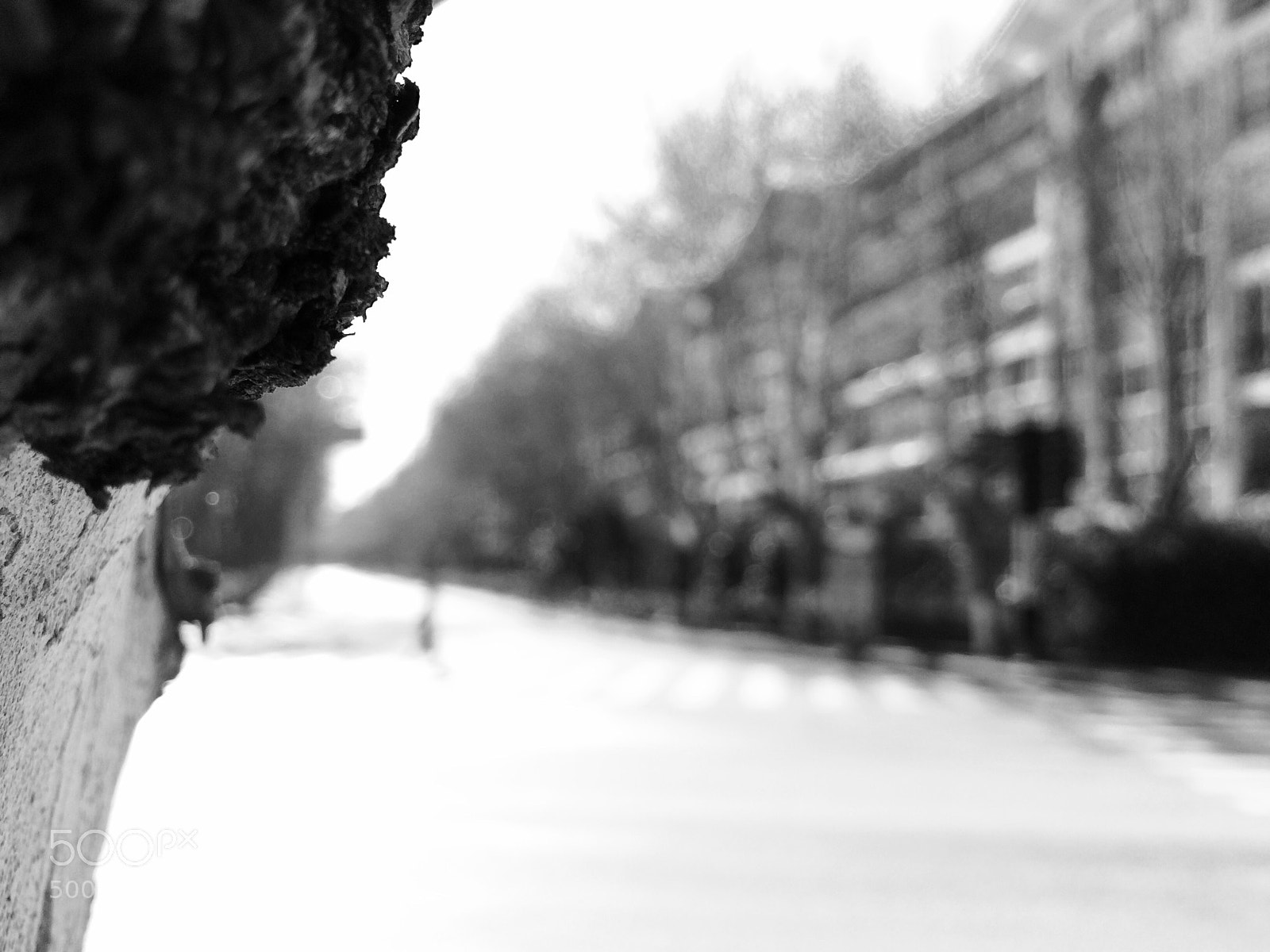 Apple iPhone 5s sample photo. Untitled photography